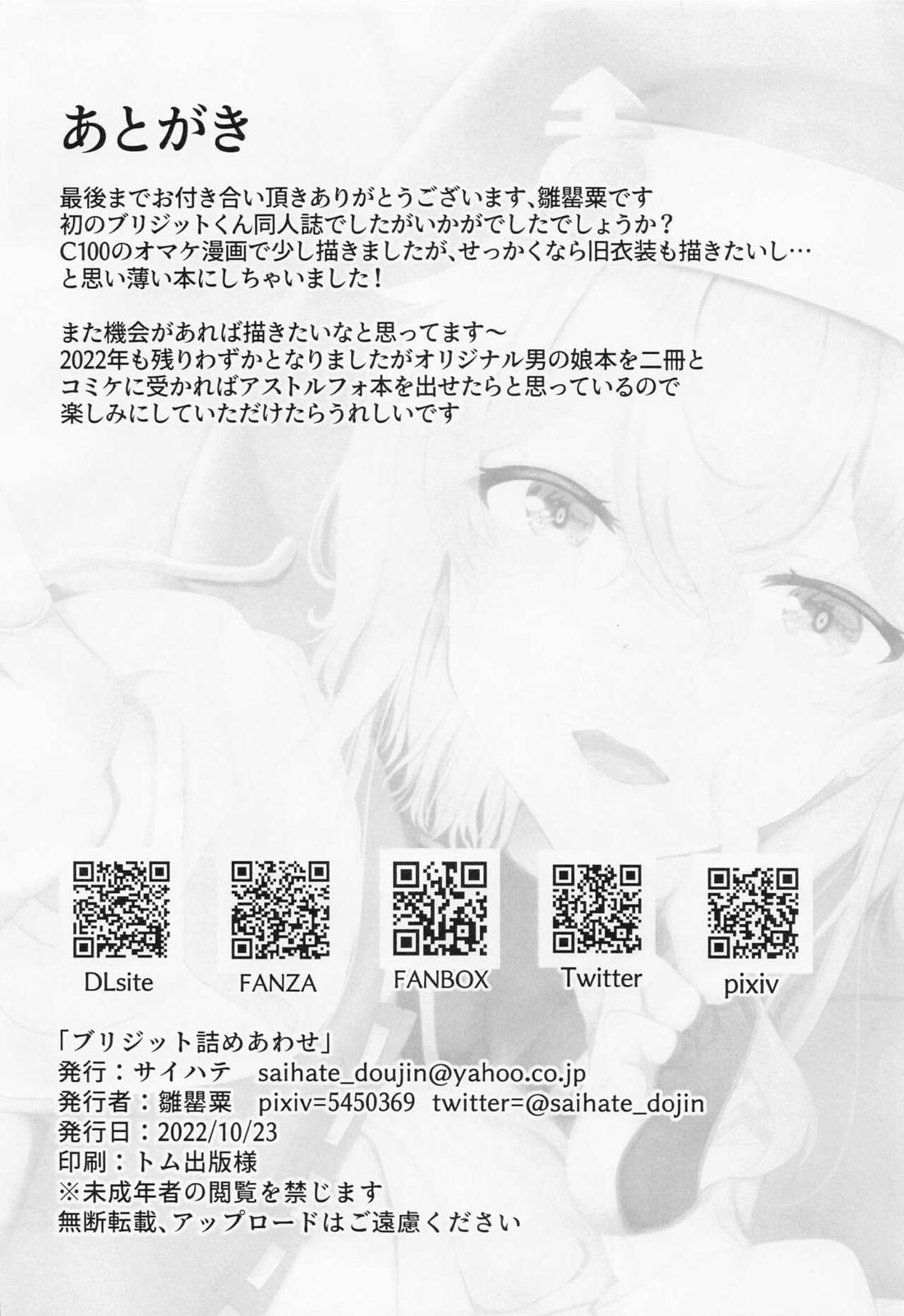ブリジット詰めあわせ 25ページ