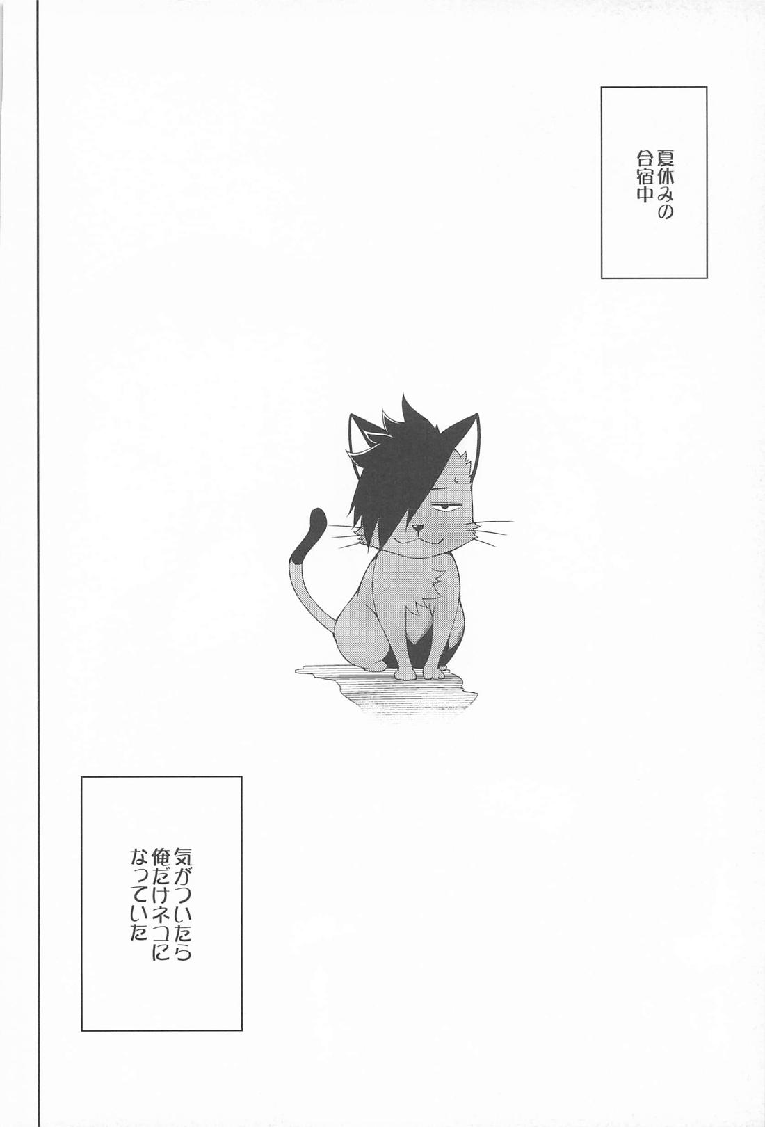 NEKO Re:Collection 19ページ
