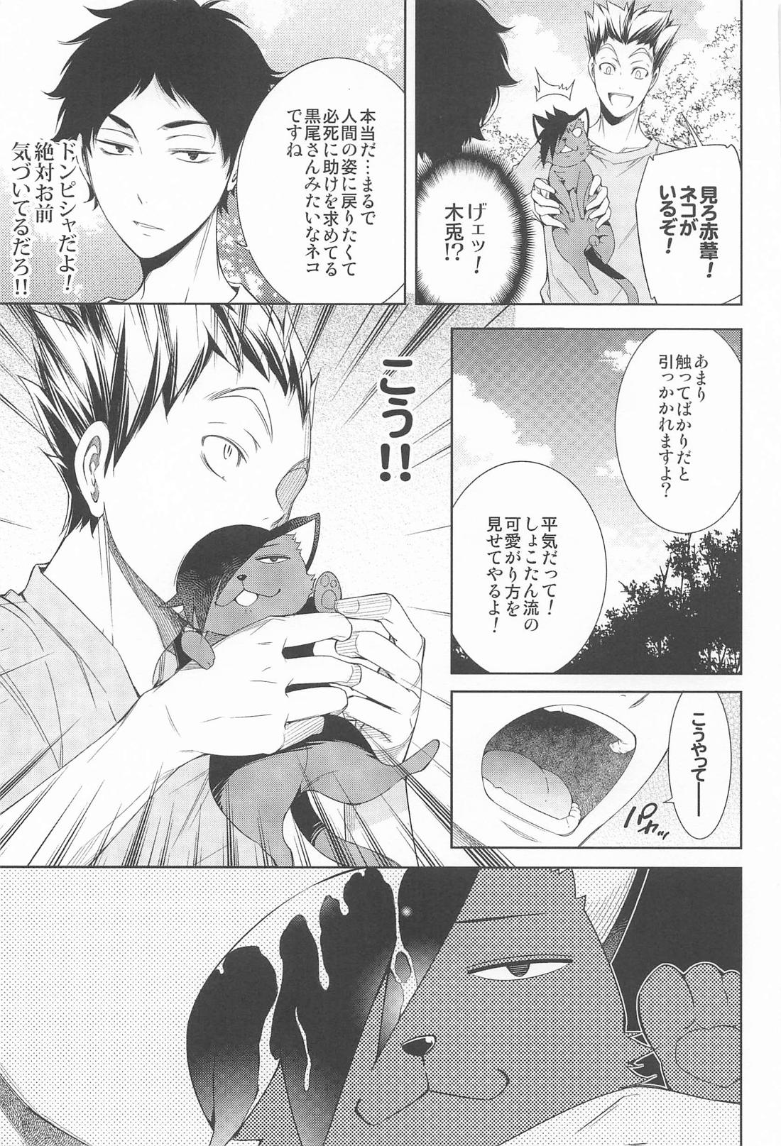 NEKO Re:Collection 22ページ