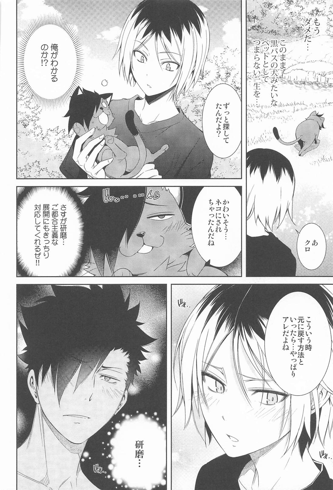 NEKO Re:Collection 23ページ