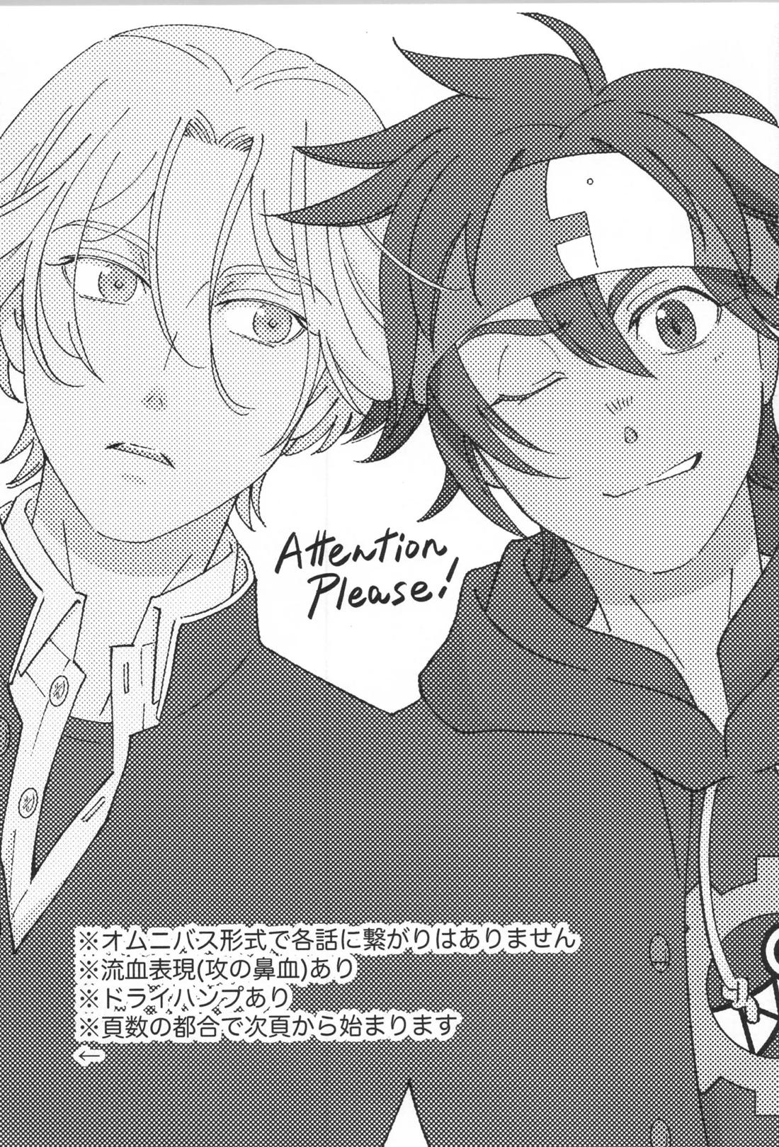 ランレキアマカラアソート 2ページ