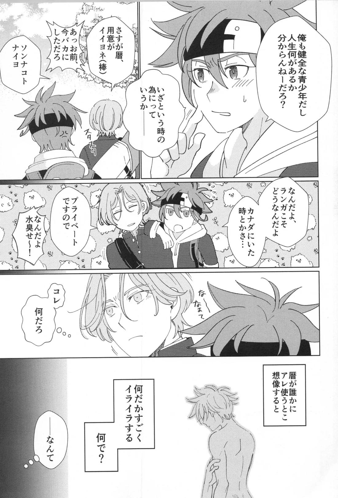 ランレキアマカラアソート 4ページ