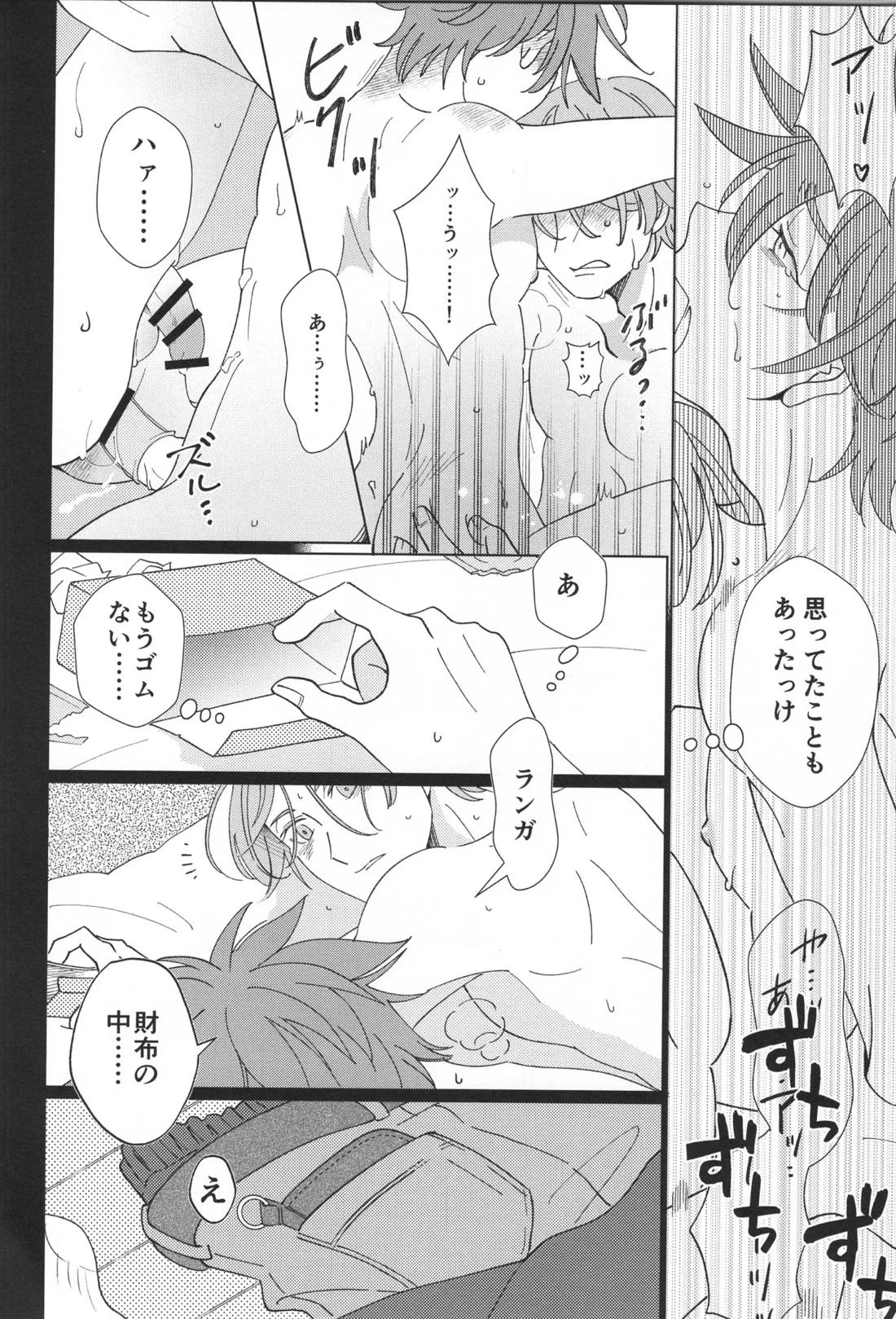 ランレキアマカラアソート 5ページ