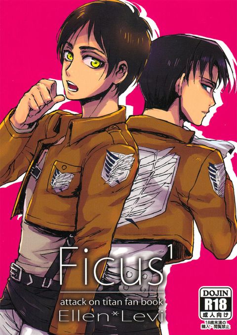 Ficus 1