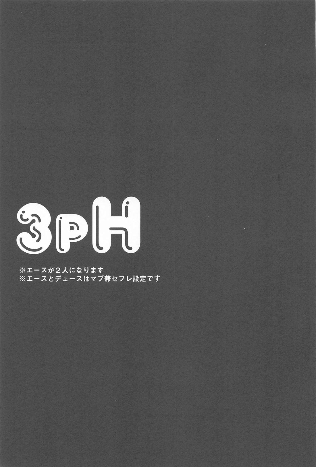 3PH 2ページ