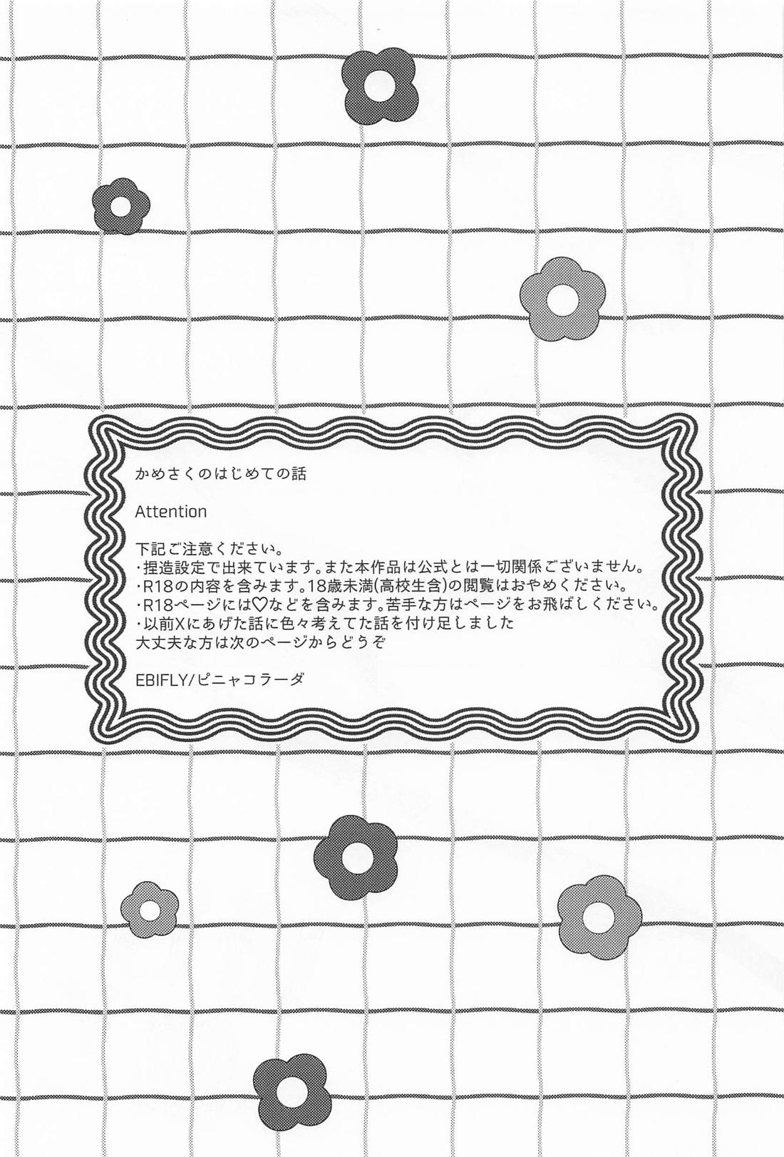 はじめて 2ページ