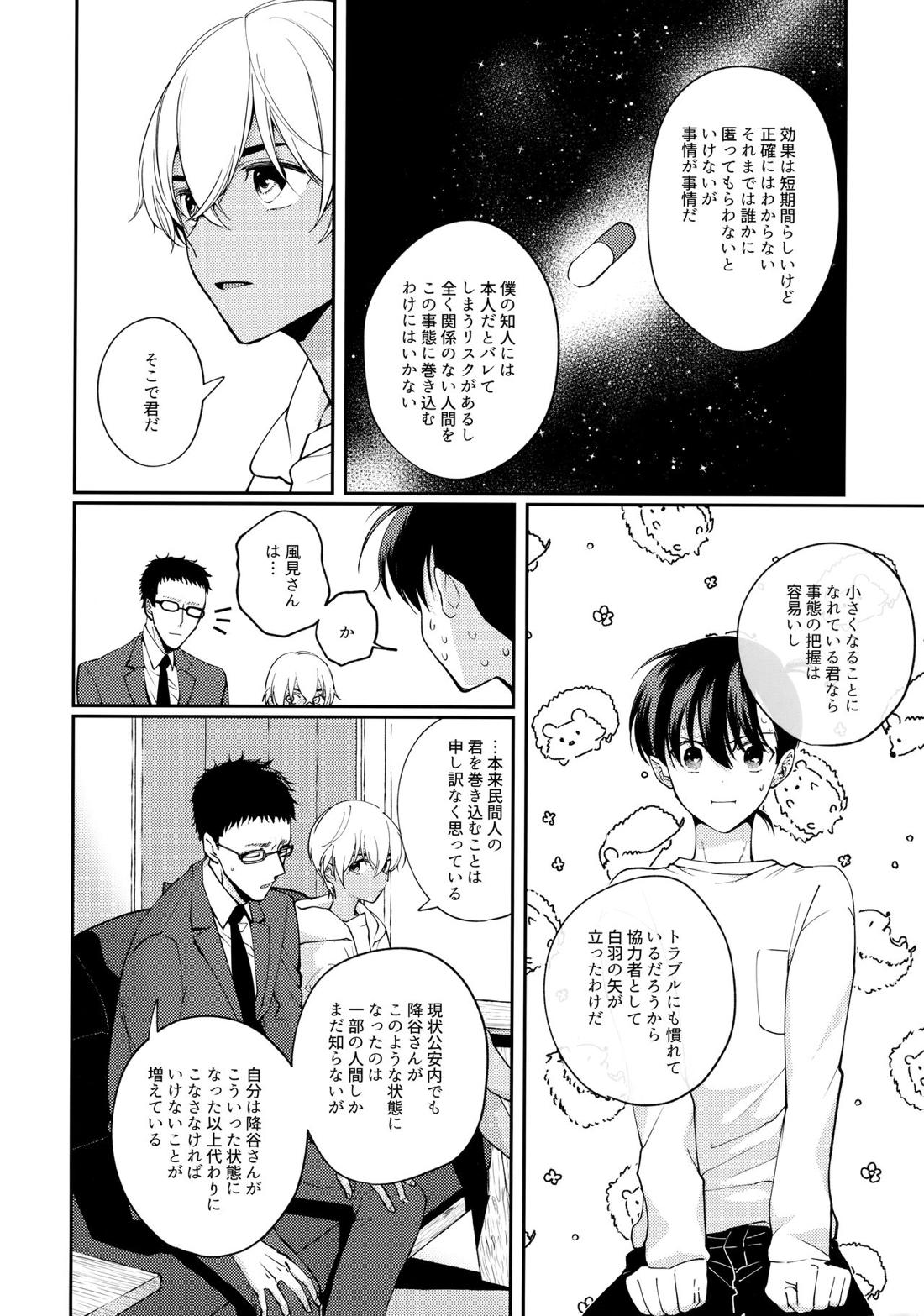 veritable 上 13ページ