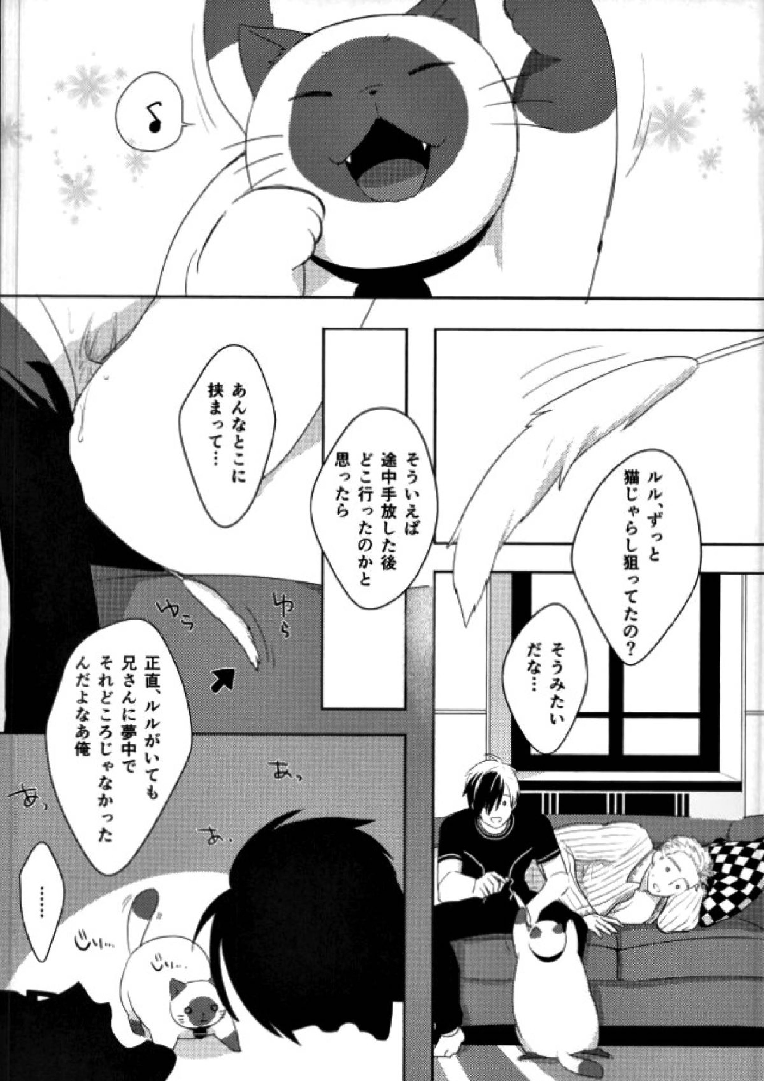 おもちゃなにいさん 19ページ