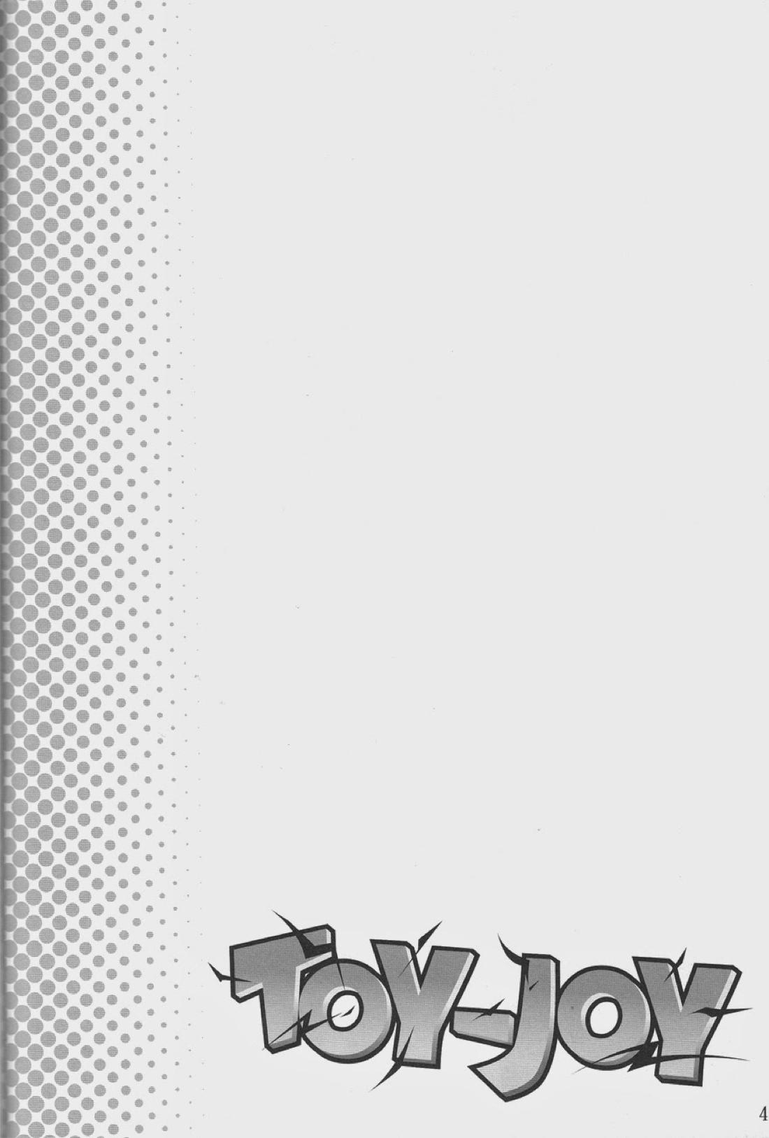 TOY‐JOY 3ページ