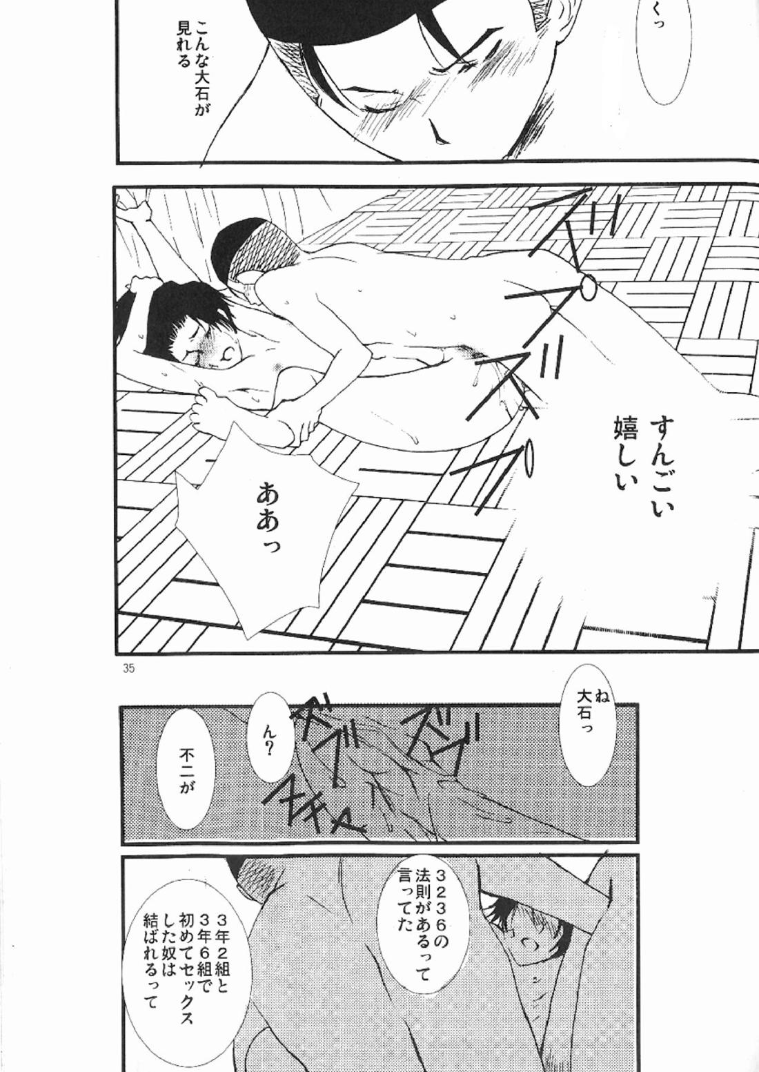 3236 33ページ