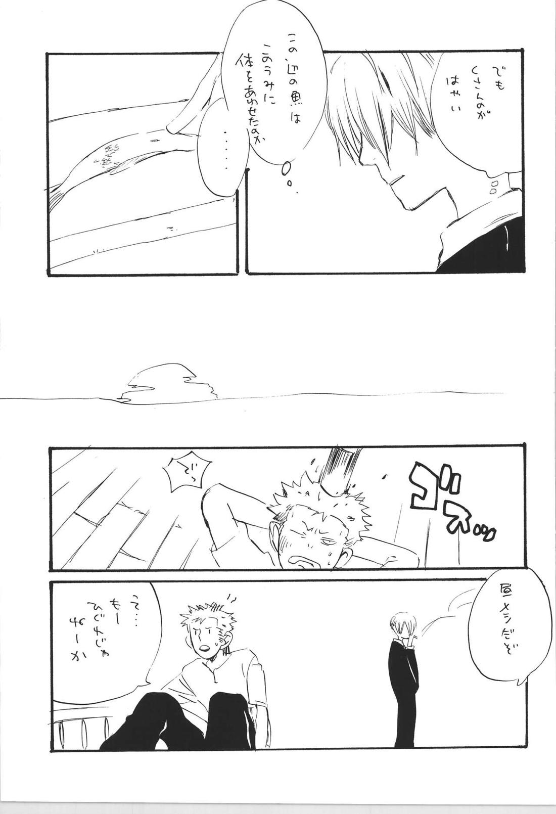 R 16ページ