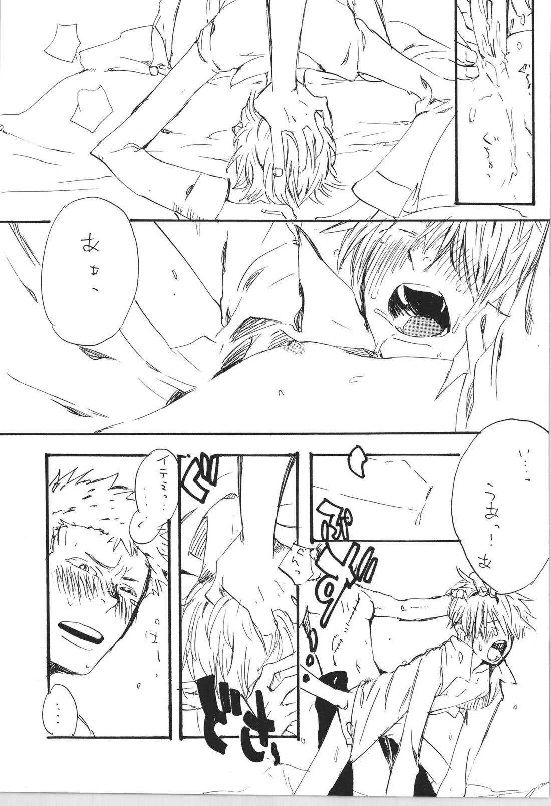 R 22ページ