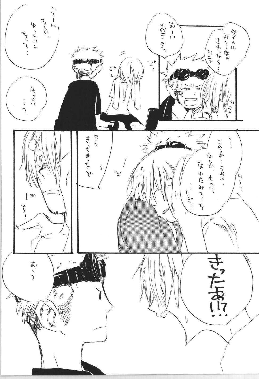 R 29ページ