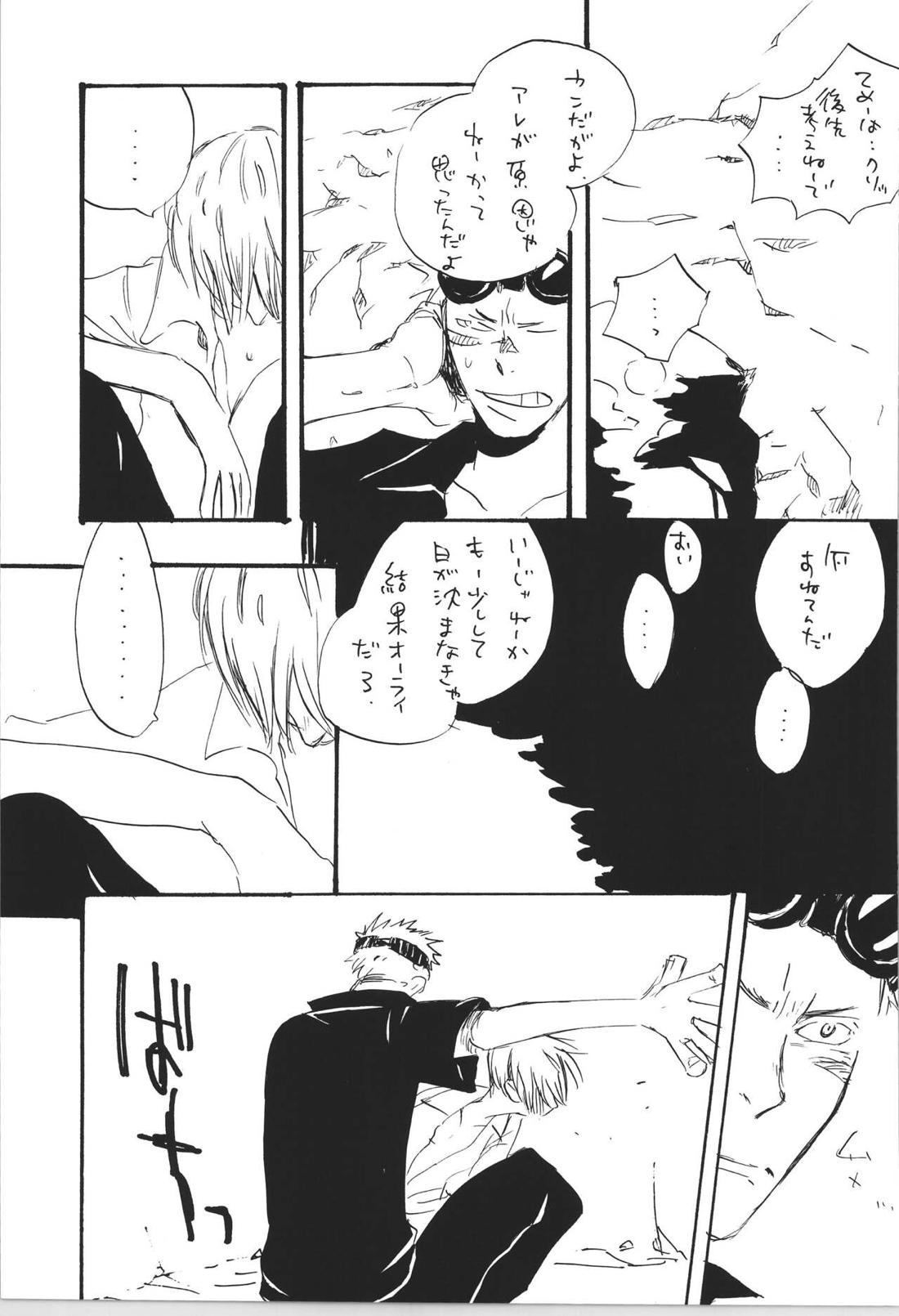 R 30ページ