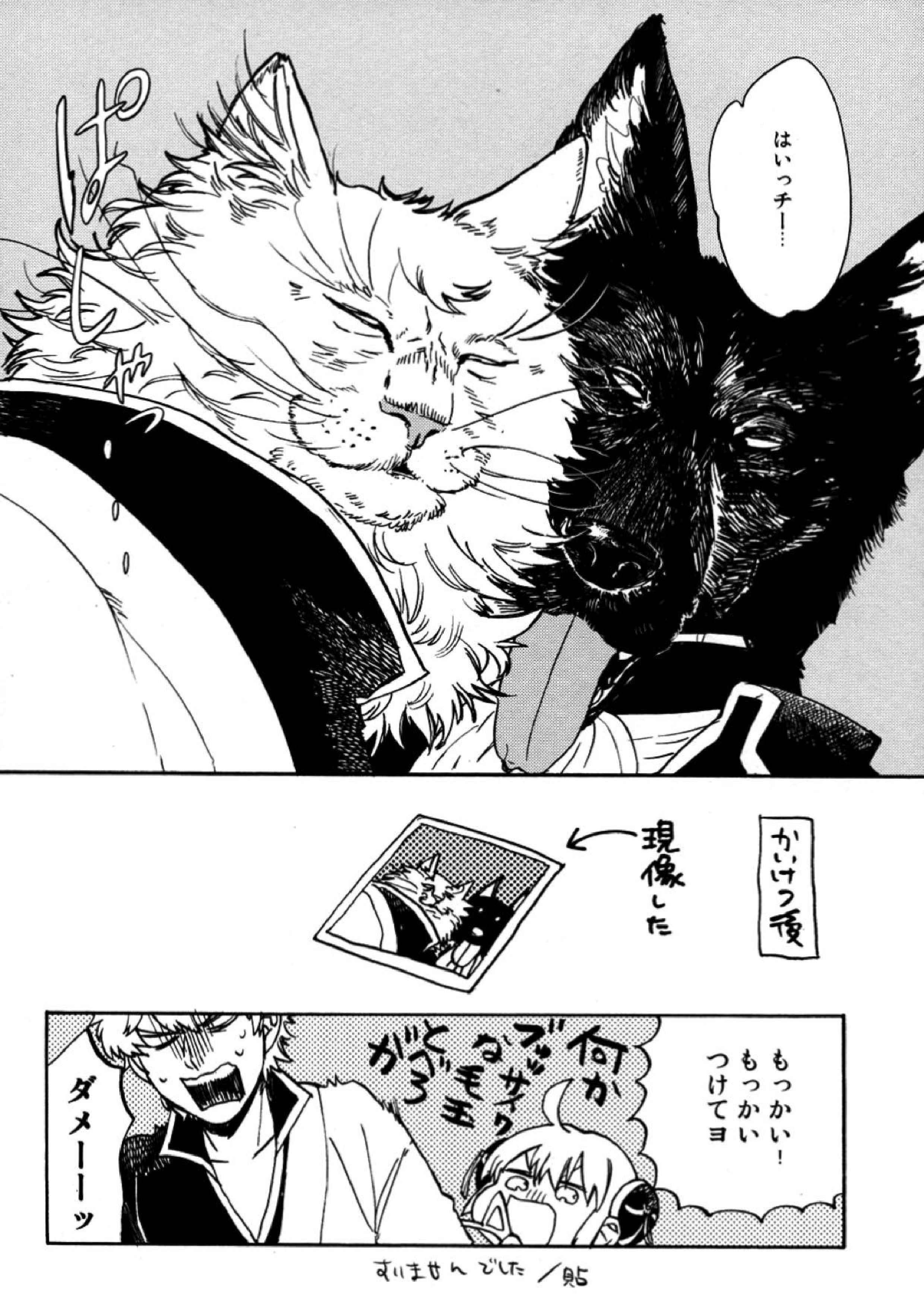 LIKE CAT AND DOG 31ページ