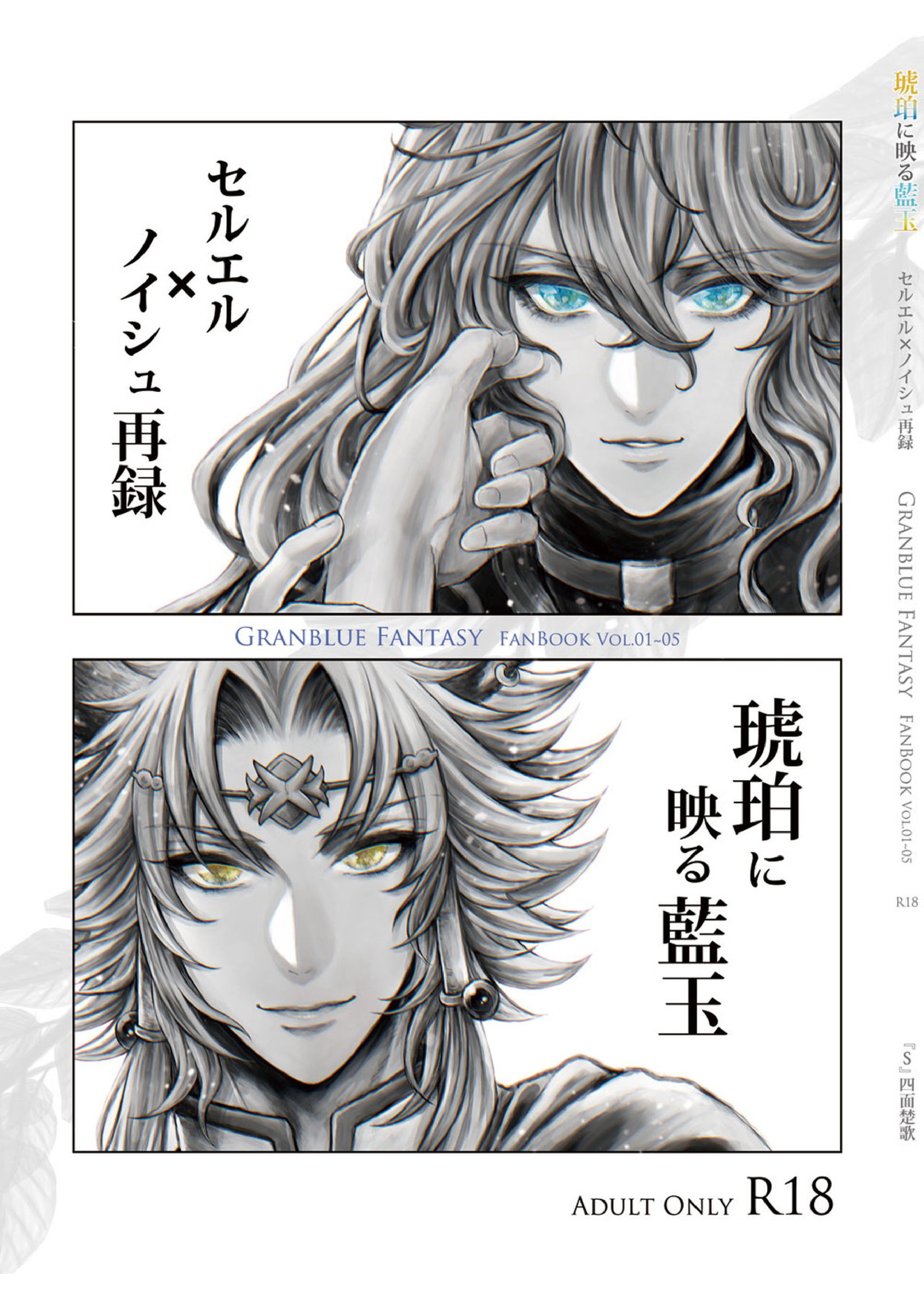 琥珀に映る藍玉 セルエル×ノイシュ再録 1ページ