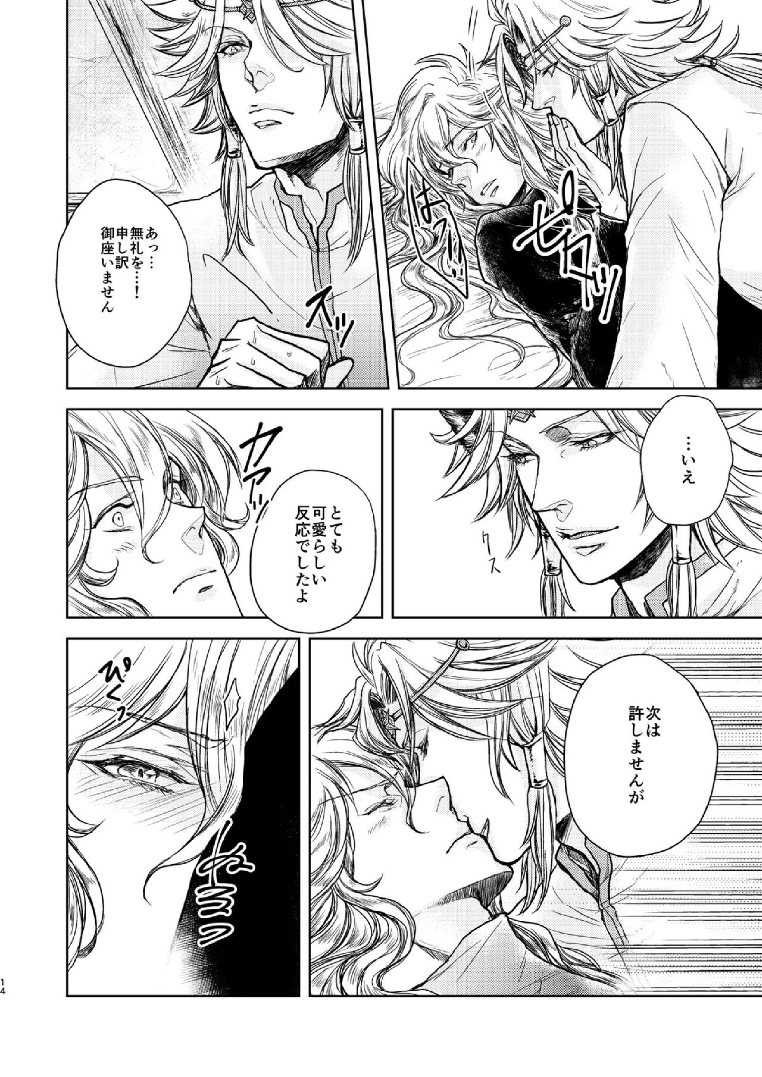琥珀に映る藍玉 セルエル×ノイシュ再録 14ページ