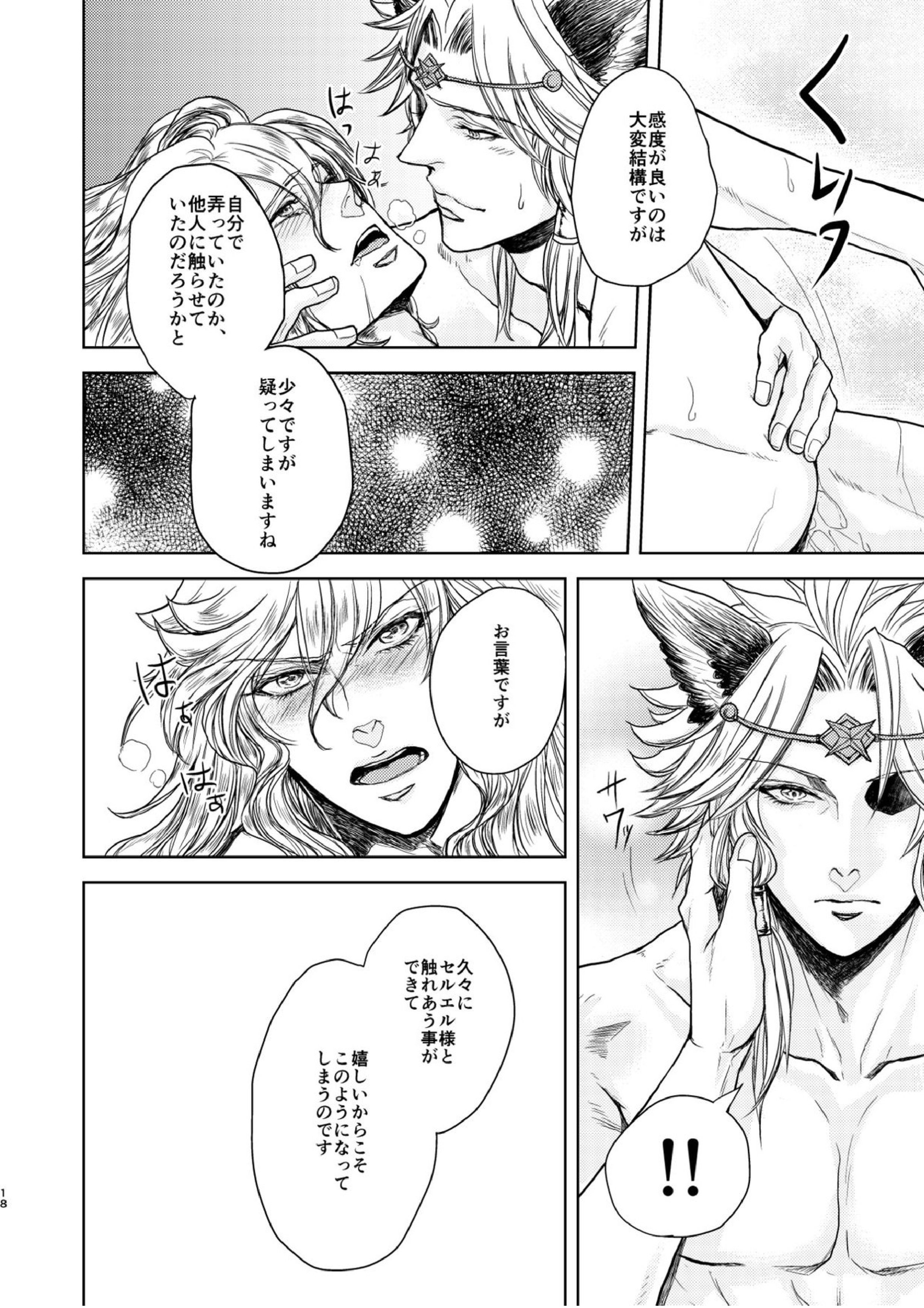 琥珀に映る藍玉 セルエル×ノイシュ再録 18ページ