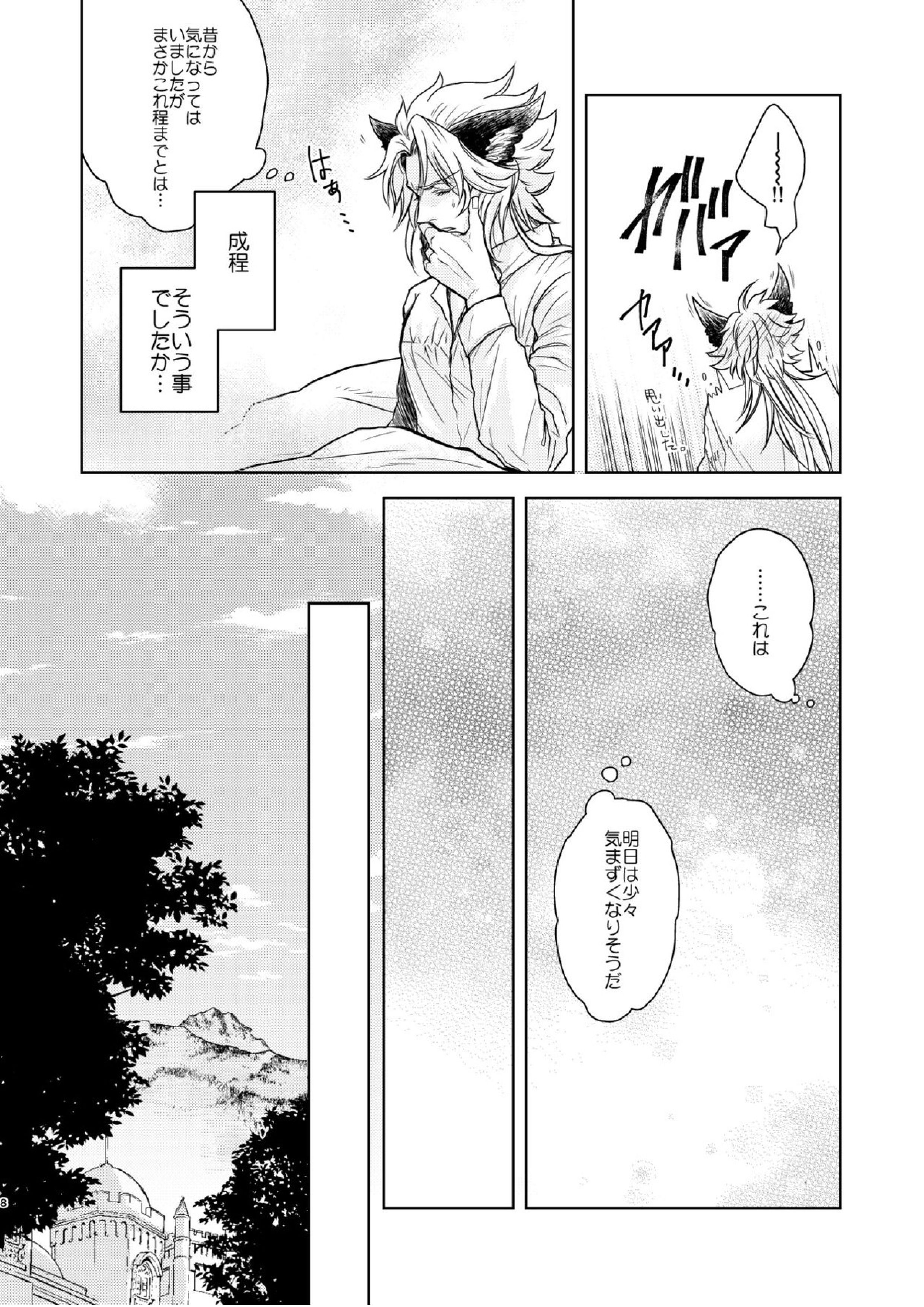 琥珀に映る藍玉 セルエル×ノイシュ再録 32ページ