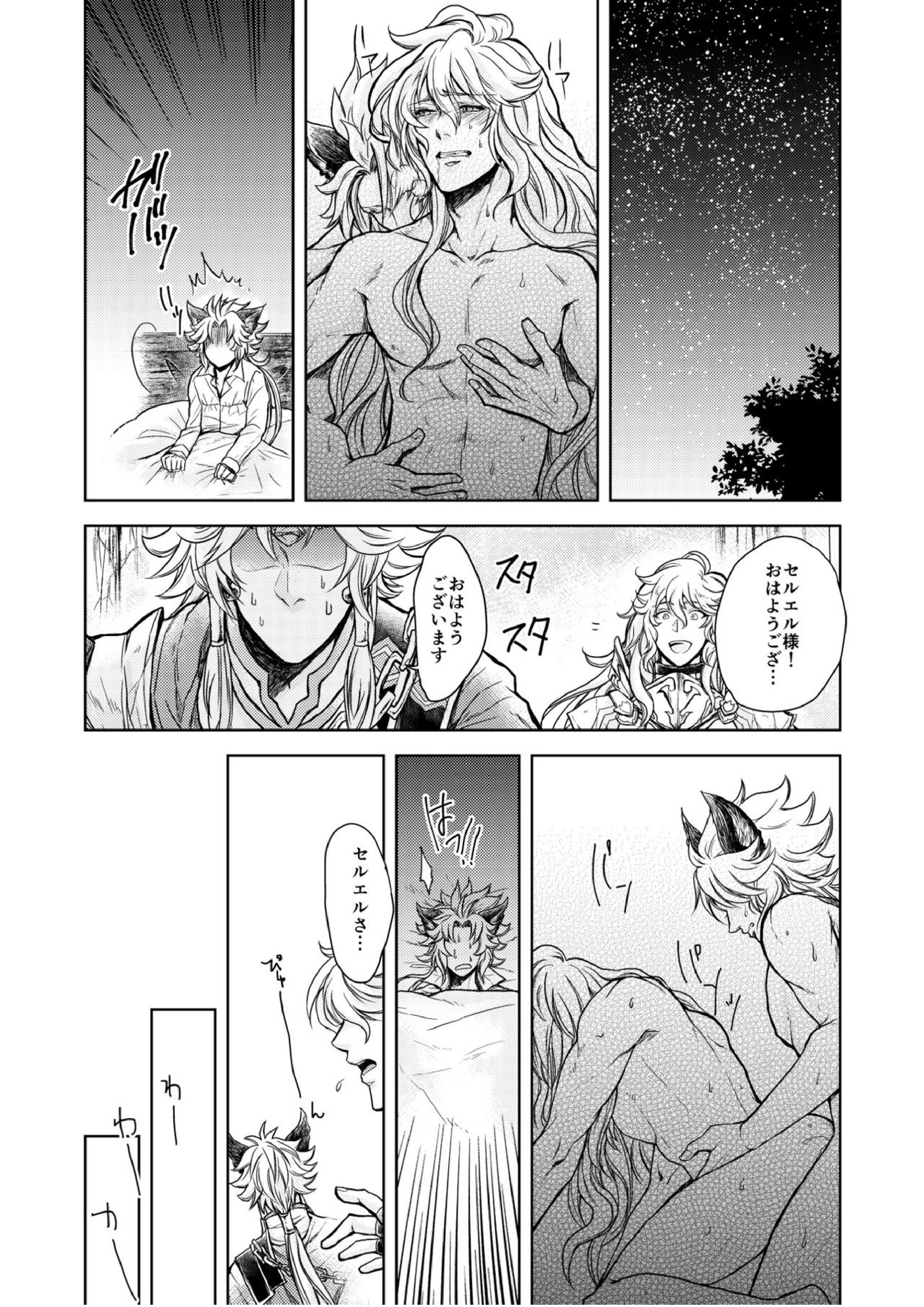 琥珀に映る藍玉 セルエル×ノイシュ再録 36ページ