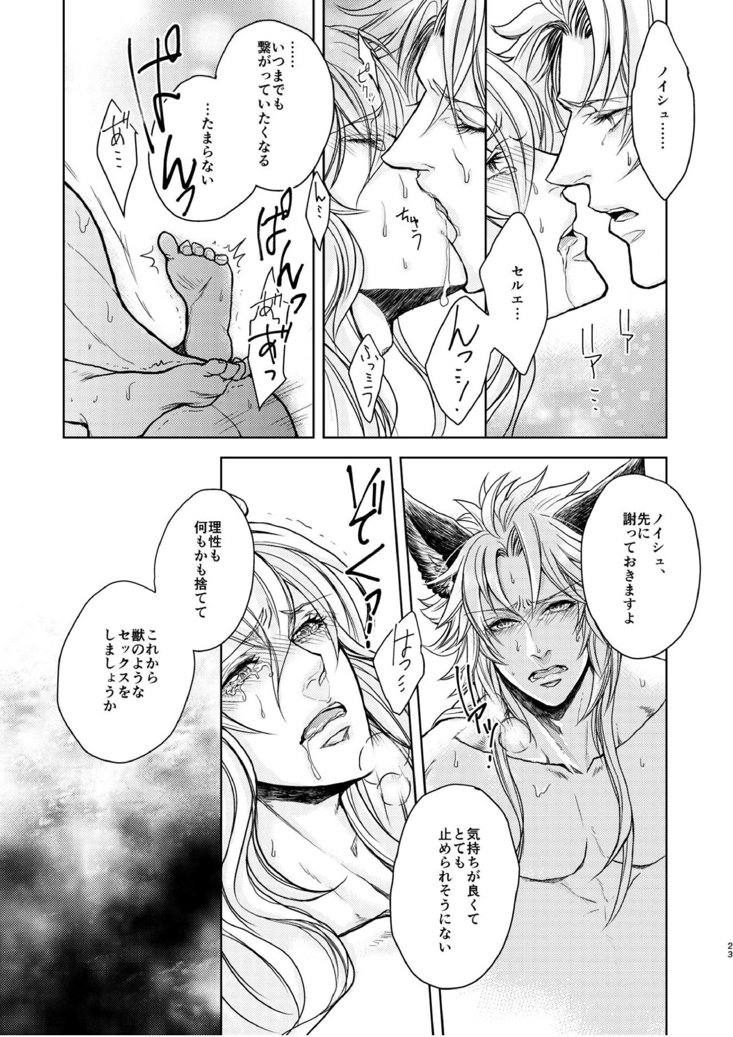 琥珀に映る藍玉 セルエル×ノイシュ再録 47ページ