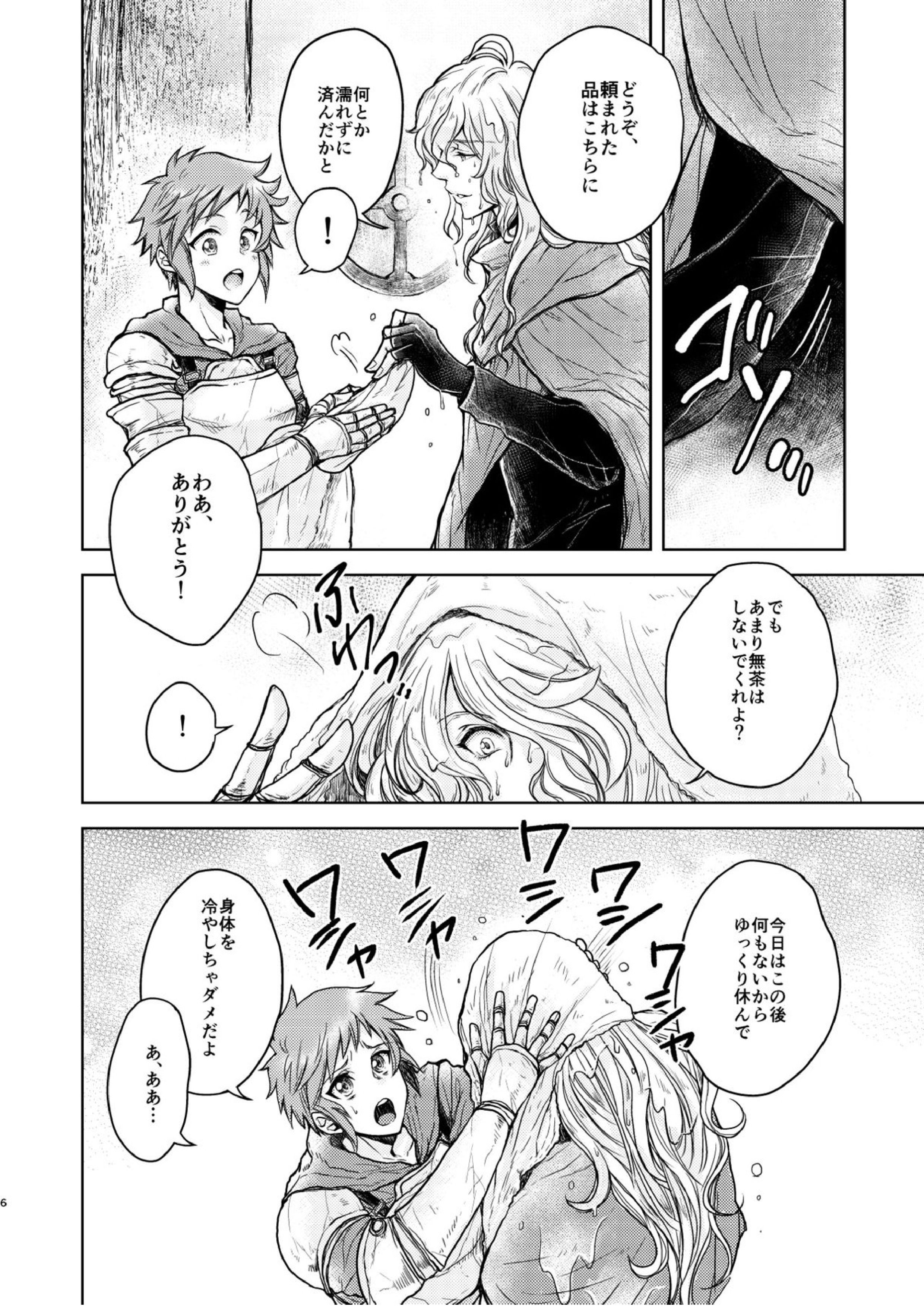 琥珀に映る藍玉 セルエル×ノイシュ再録 54ページ