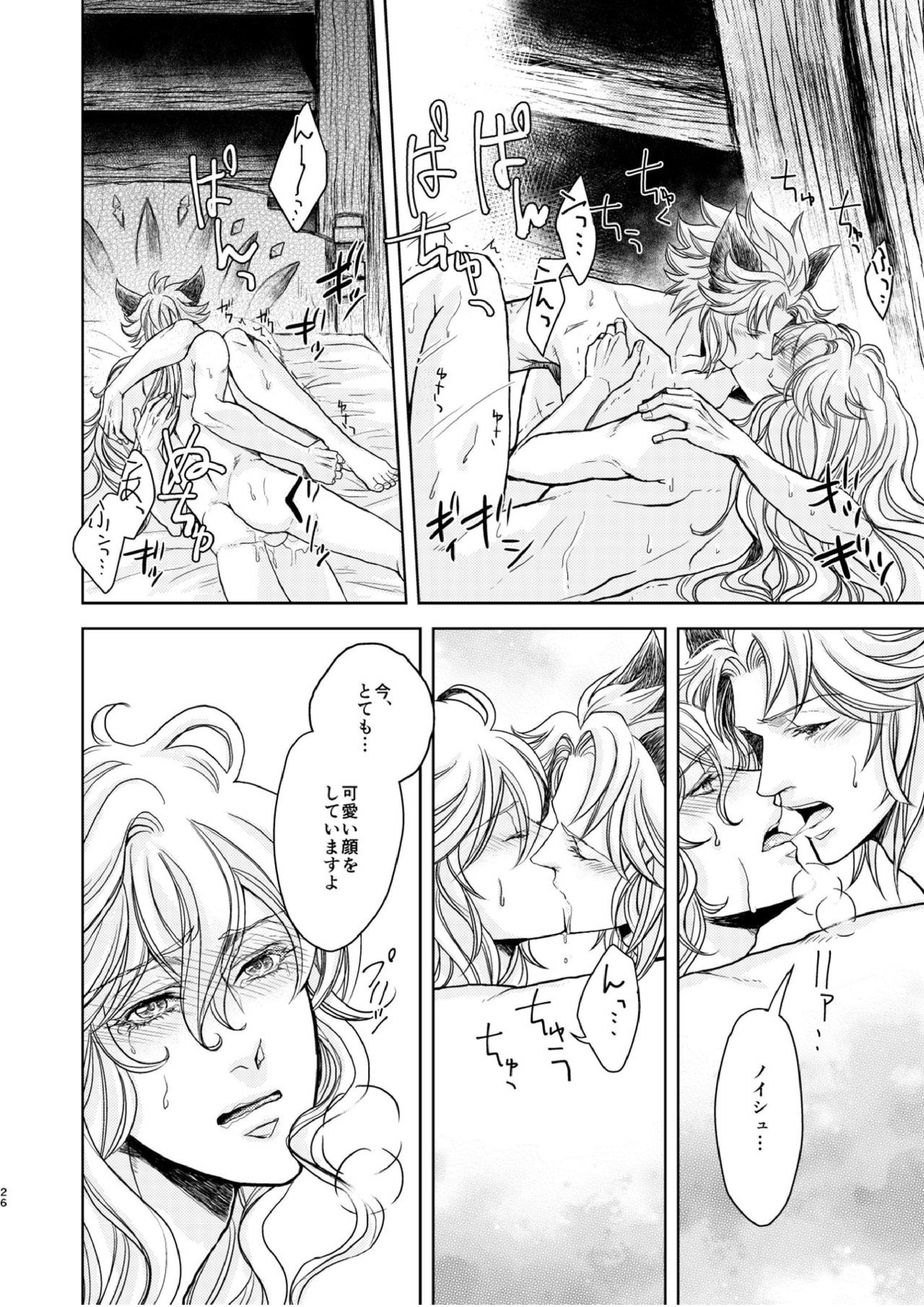 琥珀に映る藍玉 セルエル×ノイシュ再録 74ページ