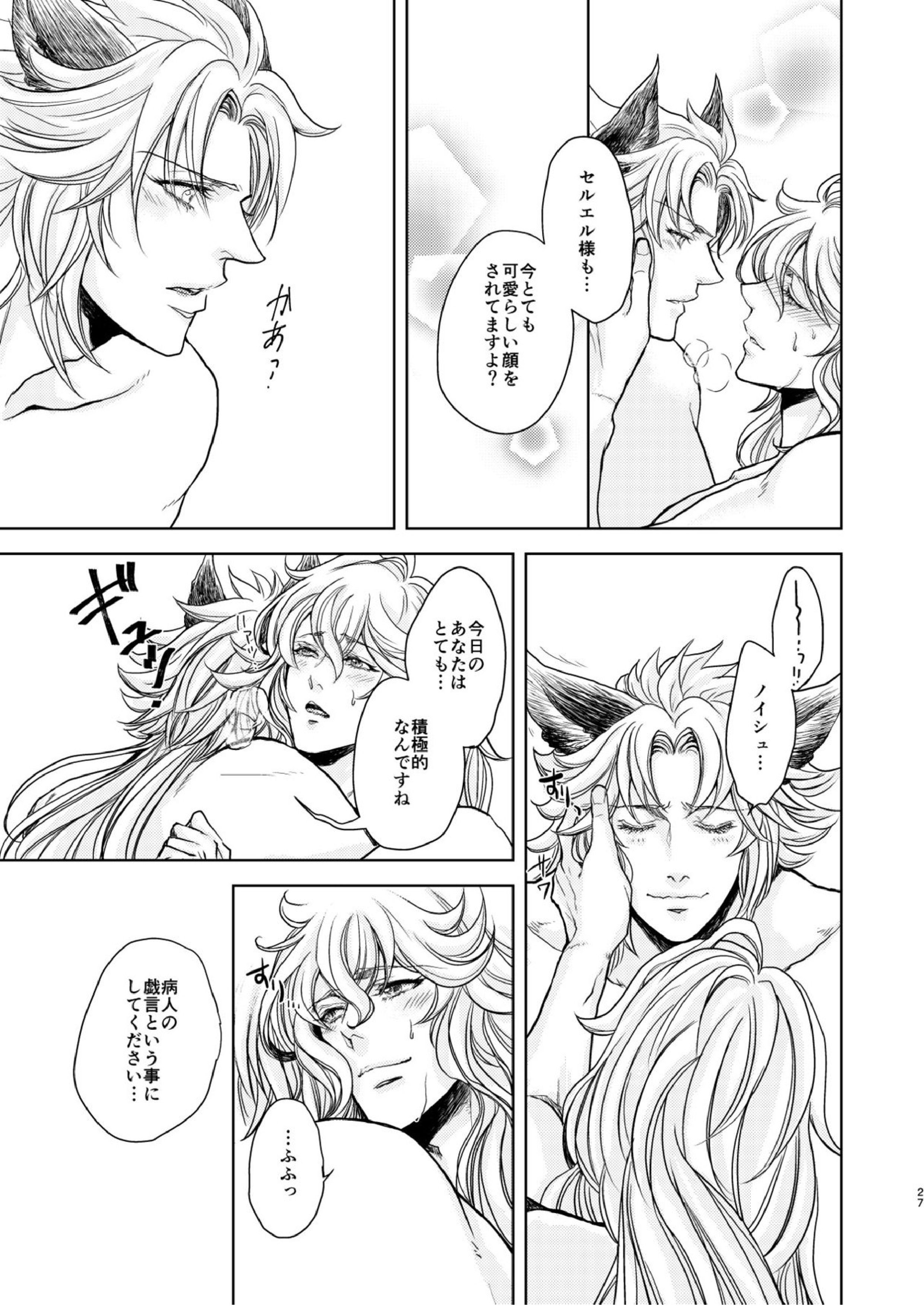 琥珀に映る藍玉 セルエル×ノイシュ再録 75ページ