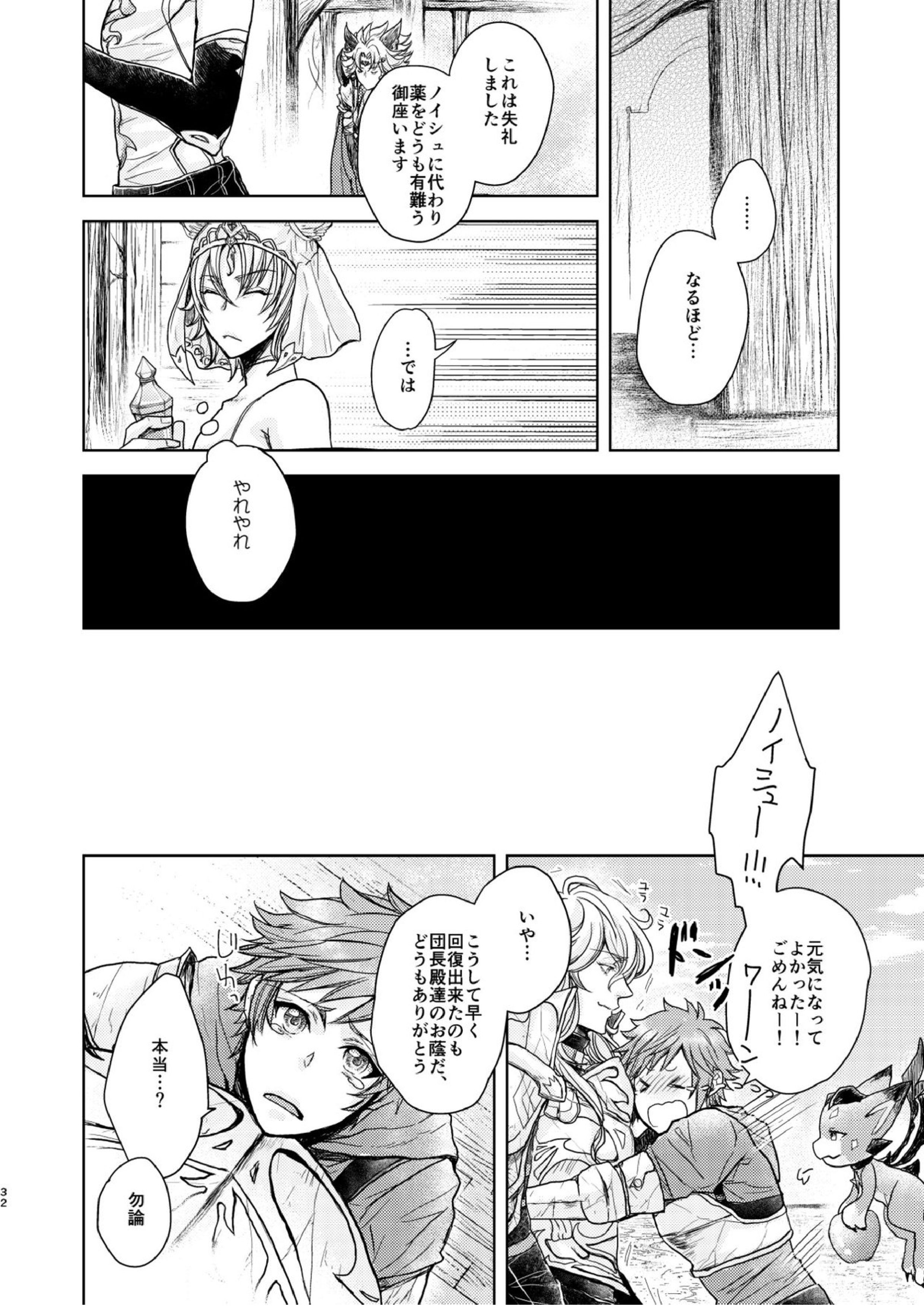 琥珀に映る藍玉 セルエル×ノイシュ再録 80ページ