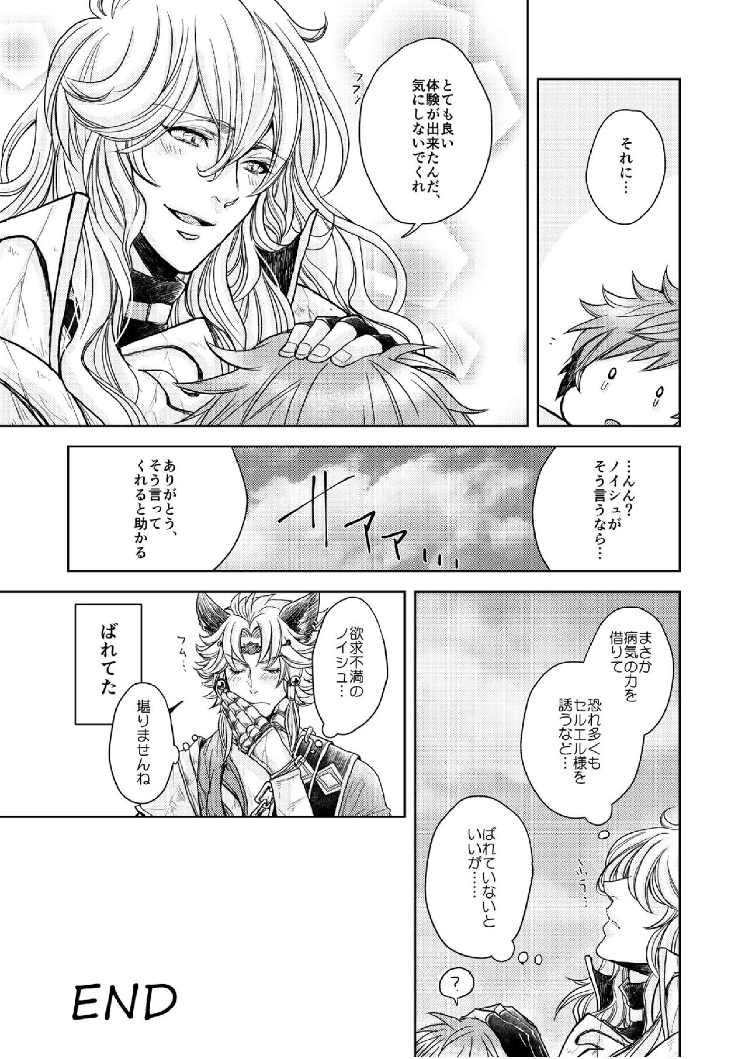 琥珀に映る藍玉 セルエル×ノイシュ再録 81ページ