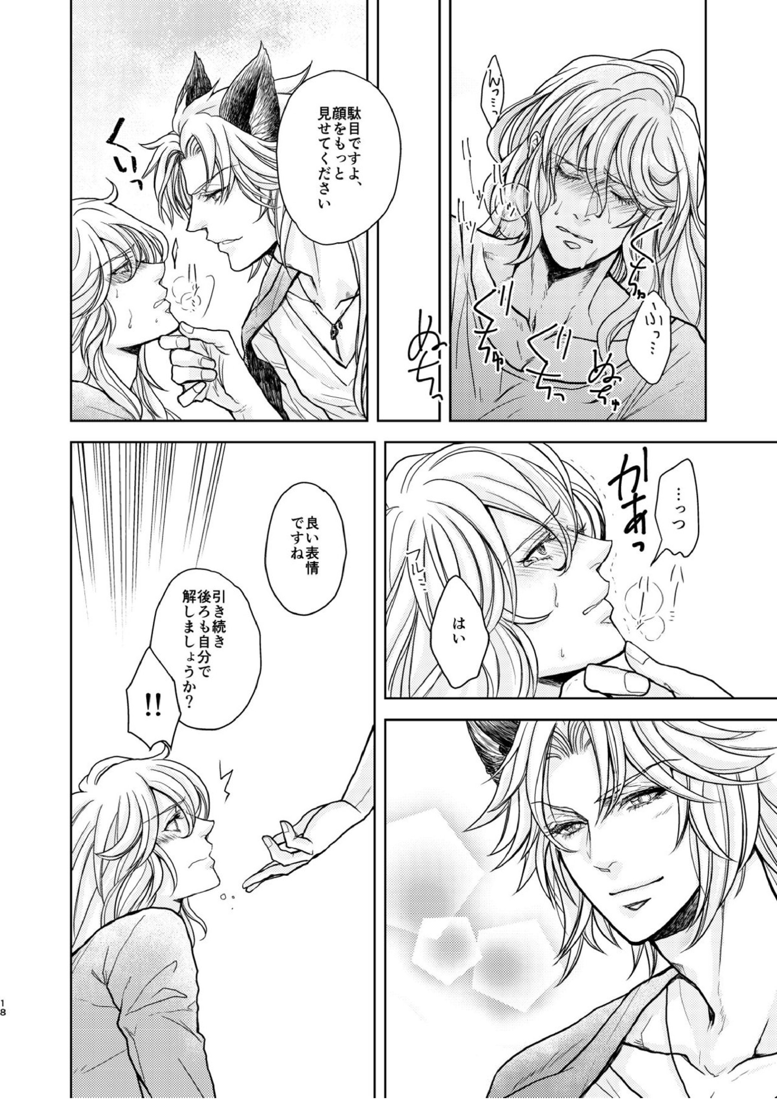 琥珀に映る藍玉 セルエル×ノイシュ再録 96ページ