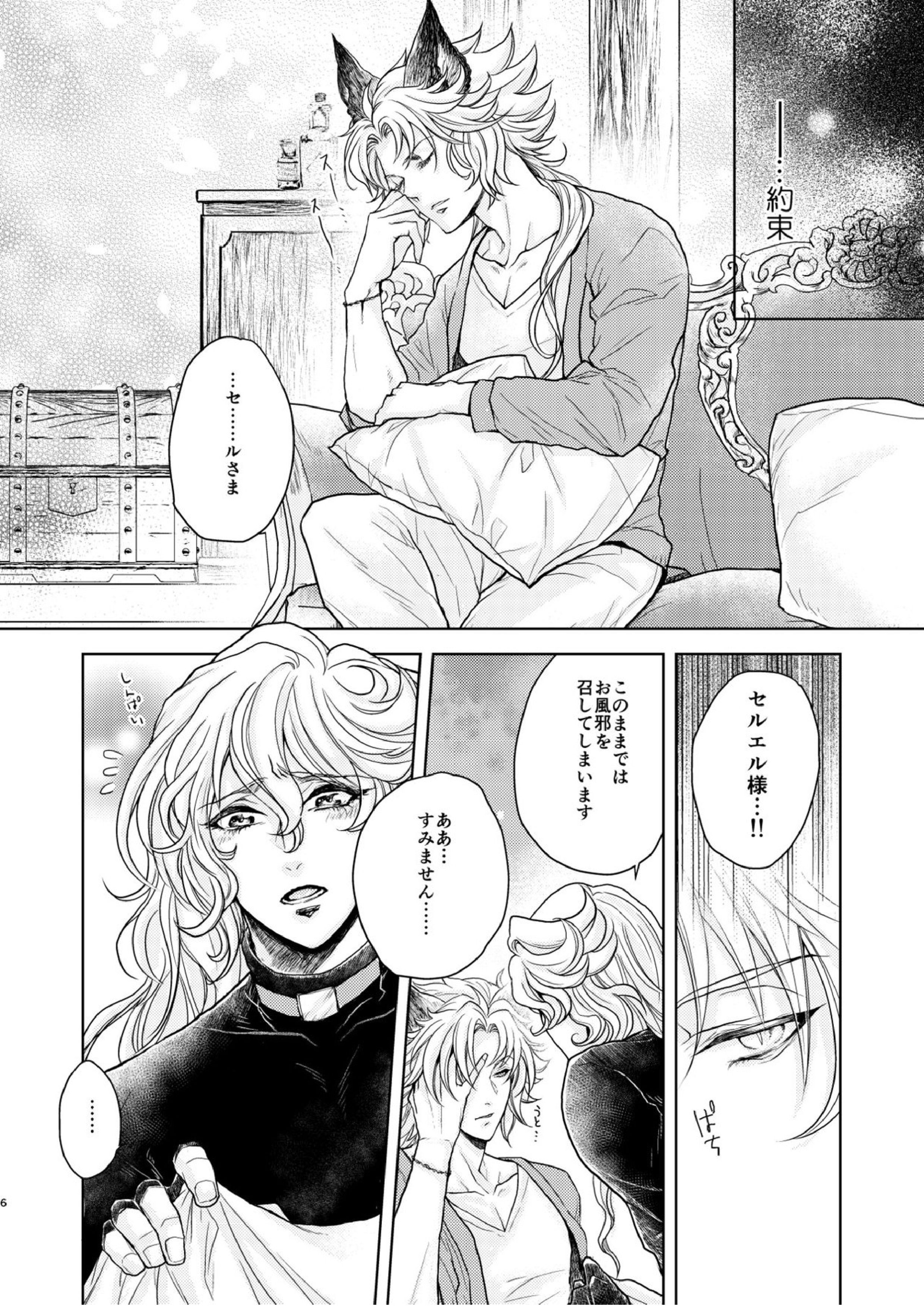 琥珀に映る藍玉 セルエル×ノイシュ再録 110ページ