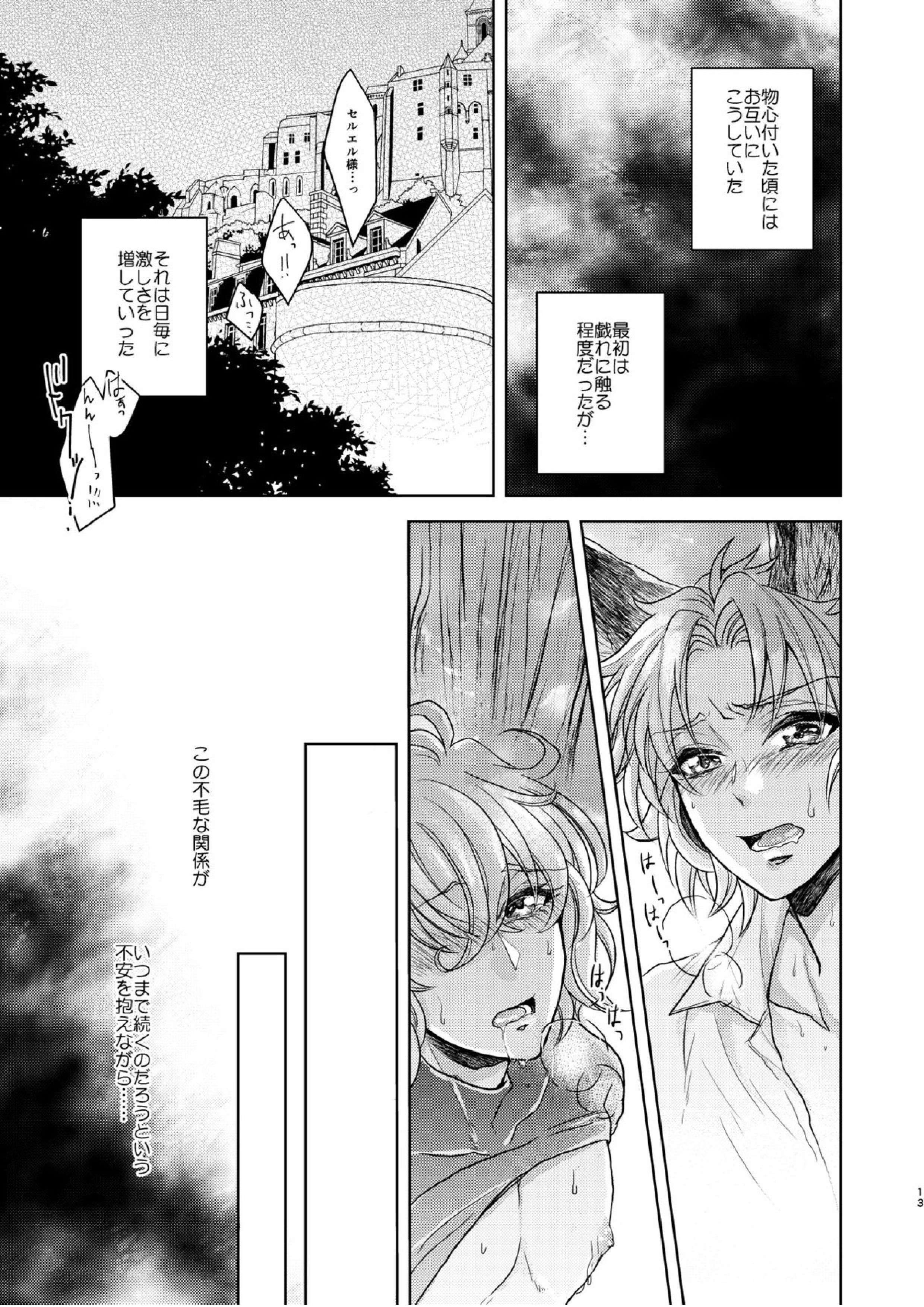 琥珀に映る藍玉 セルエル×ノイシュ再録 117ページ