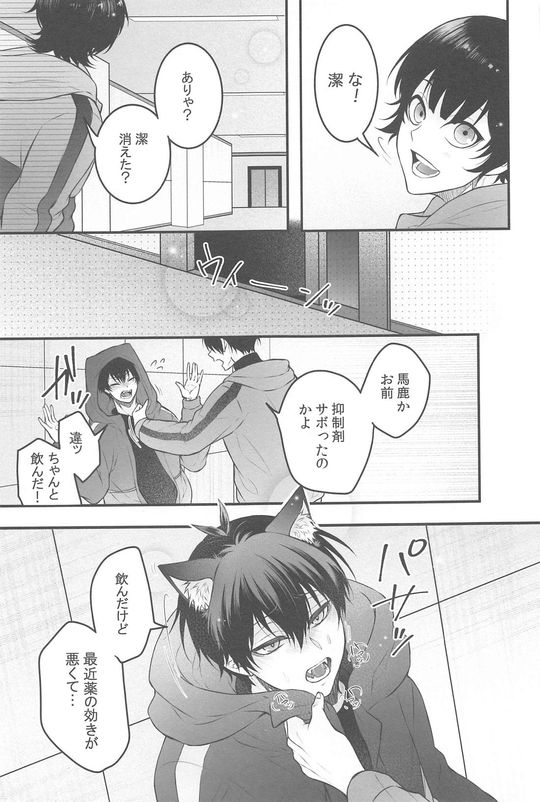 りんいさバラエティパック 14ページ