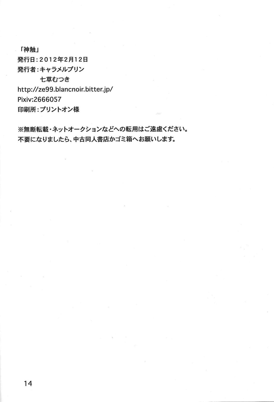 神触 13ページ