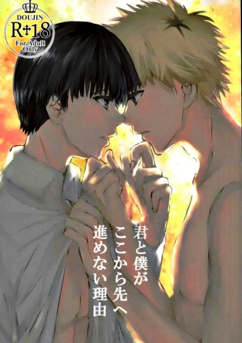 「君と僕がここから先へ進めない理由」