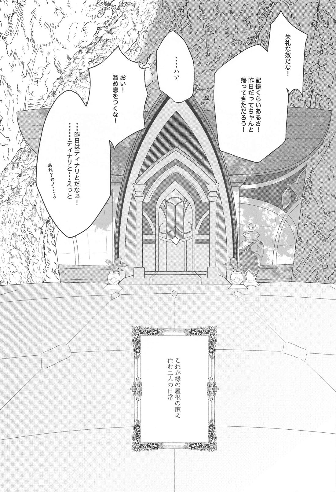 緑の屋根の二人のお話 28ページ