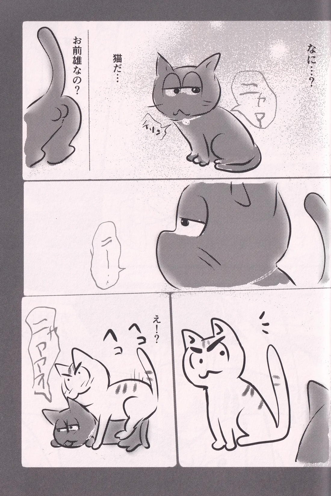 酔った長兄にどすけべふたなり催眠生ハメスクワットさせられる本 44ページ