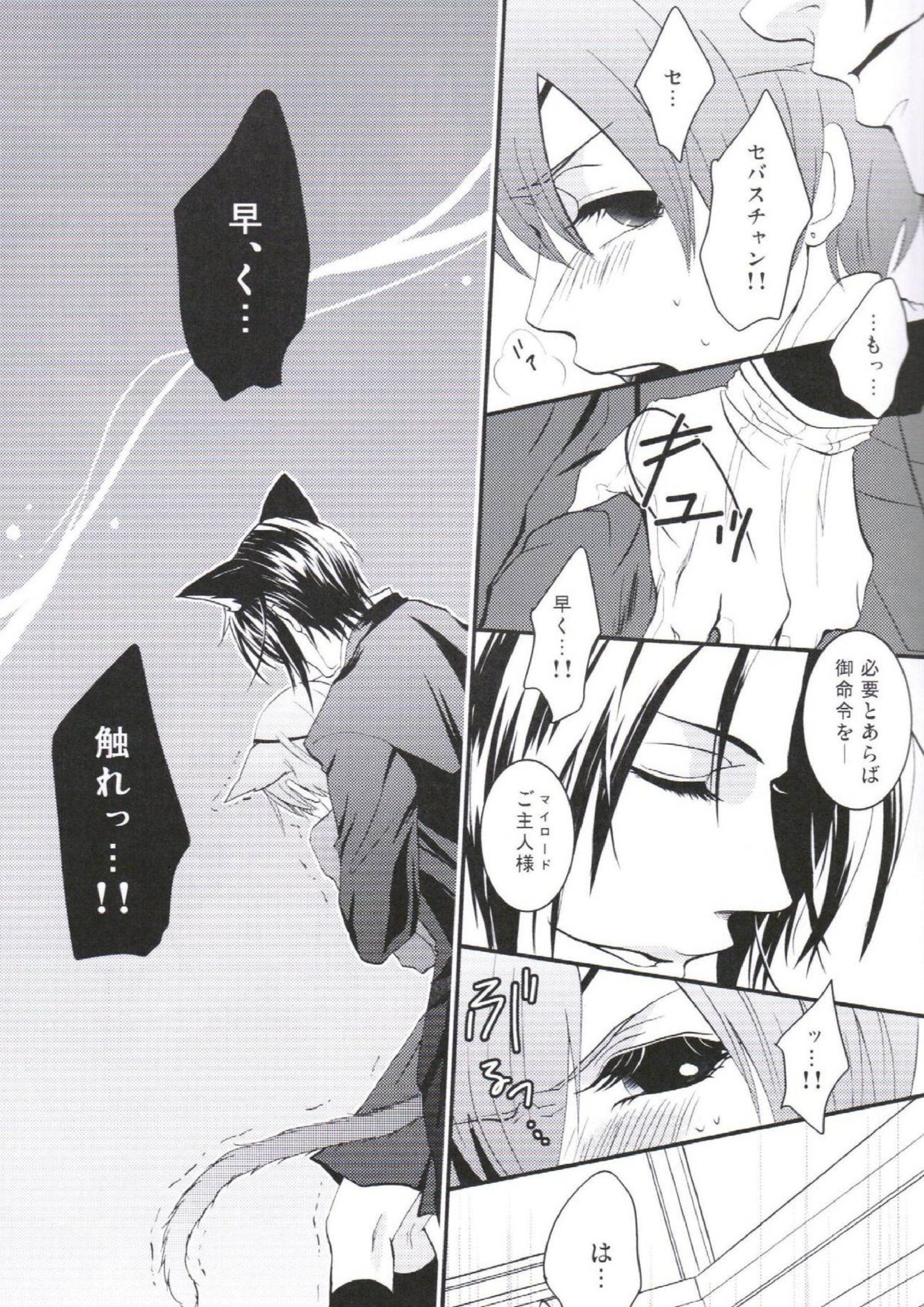 あくまでにゃんこですから 14ページ