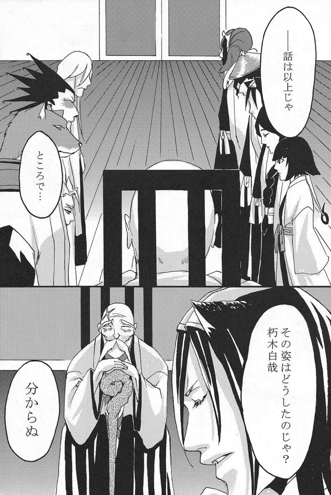 六番隊のにゃんこ 12ページ