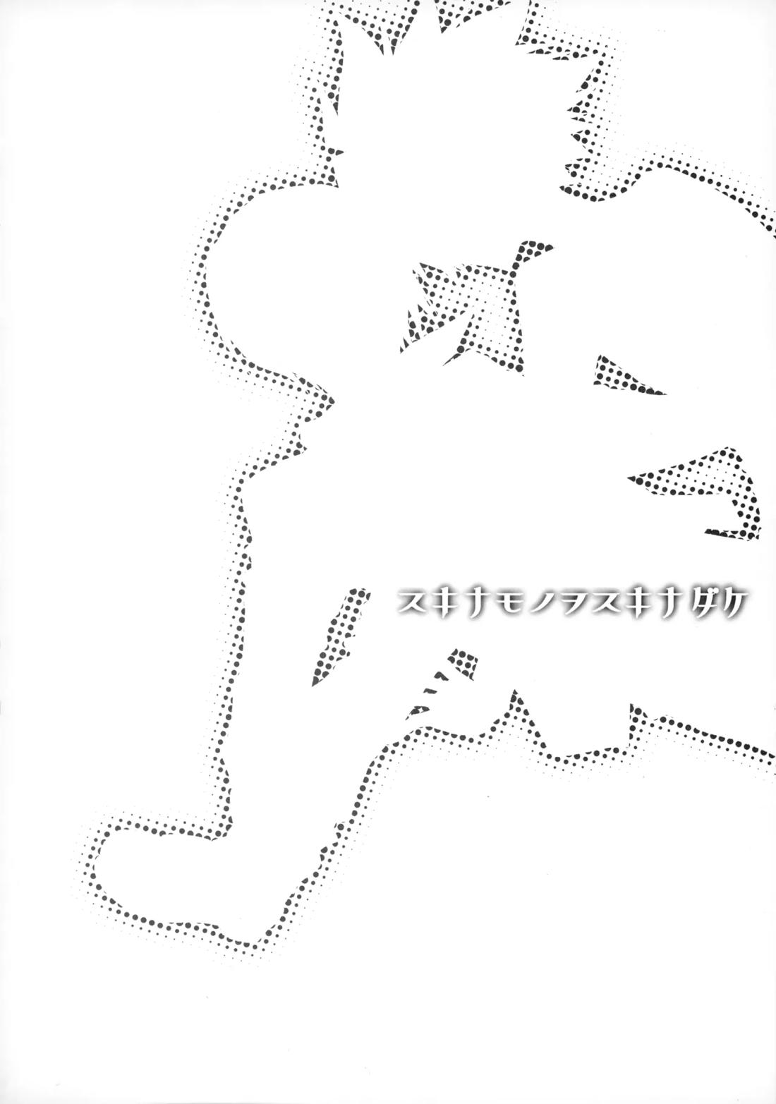 PARALLEL CIRCUIT 7ページ