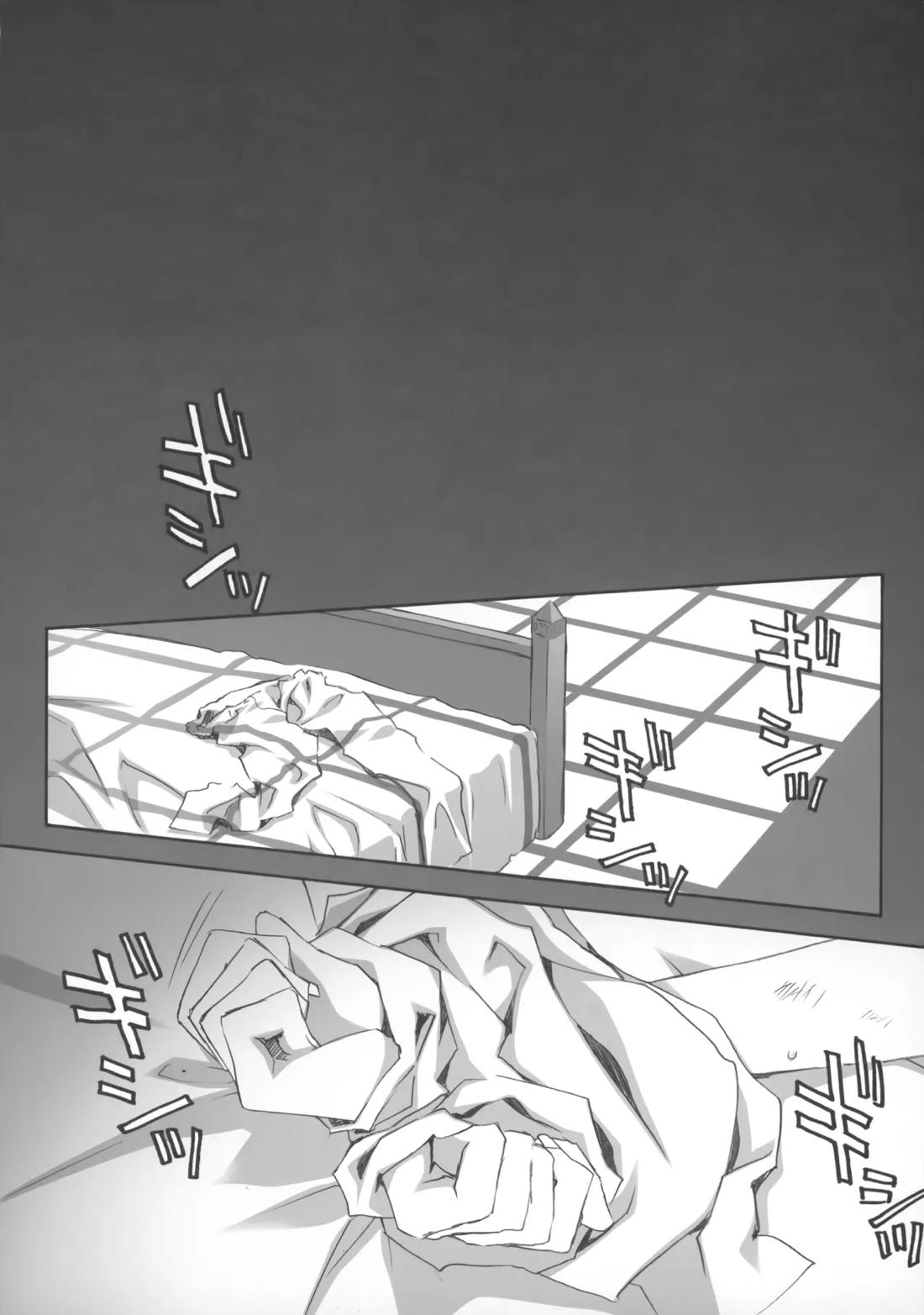 PARALLEL CIRCUIT 19ページ
