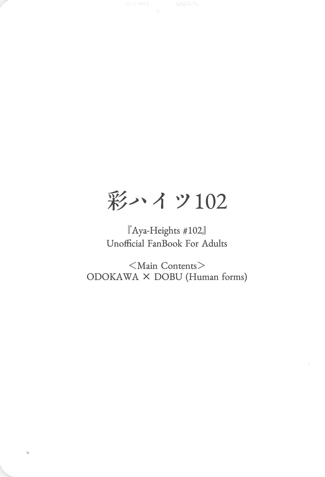 彩ハイツ102 30ページ