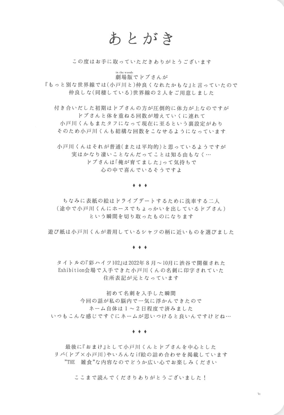 彩ハイツ102 31ページ