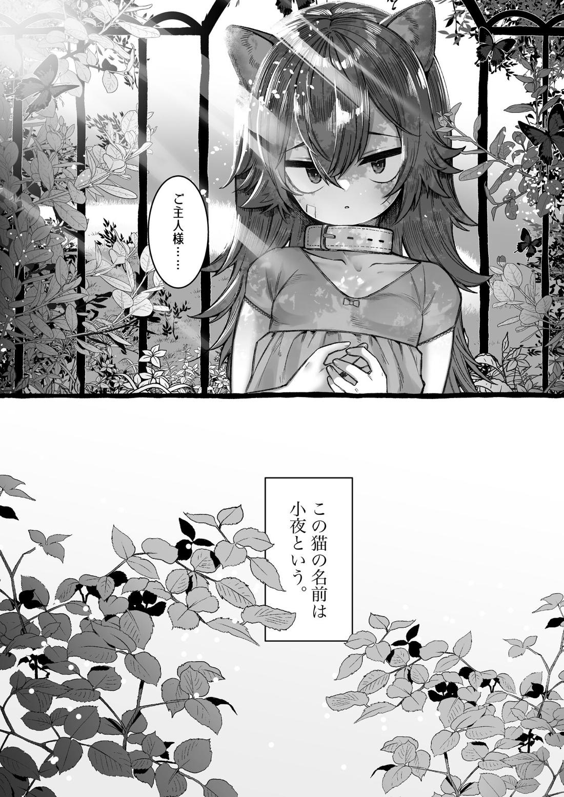 さよにゃん 3ページ