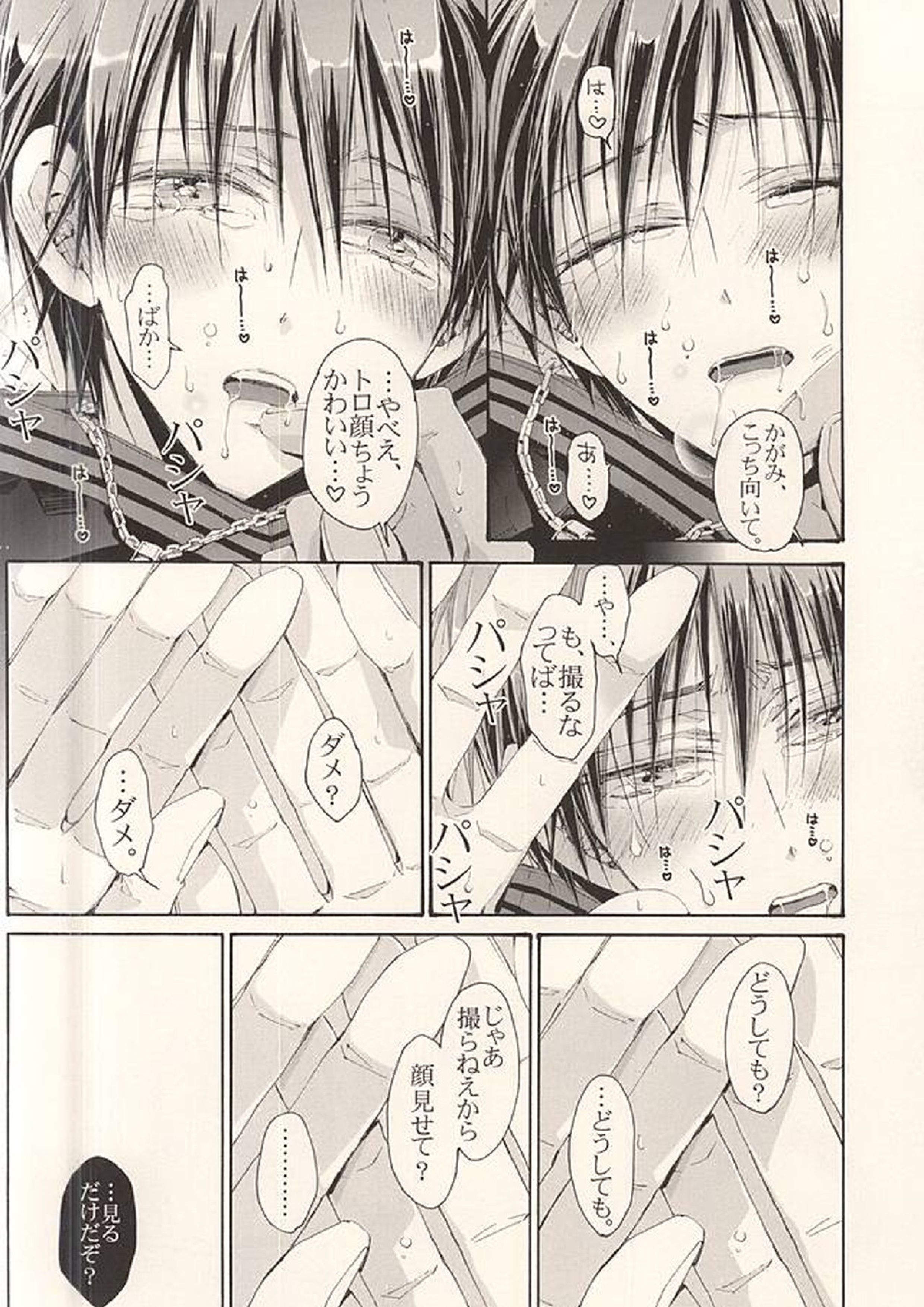 火神図鑑 31ページ