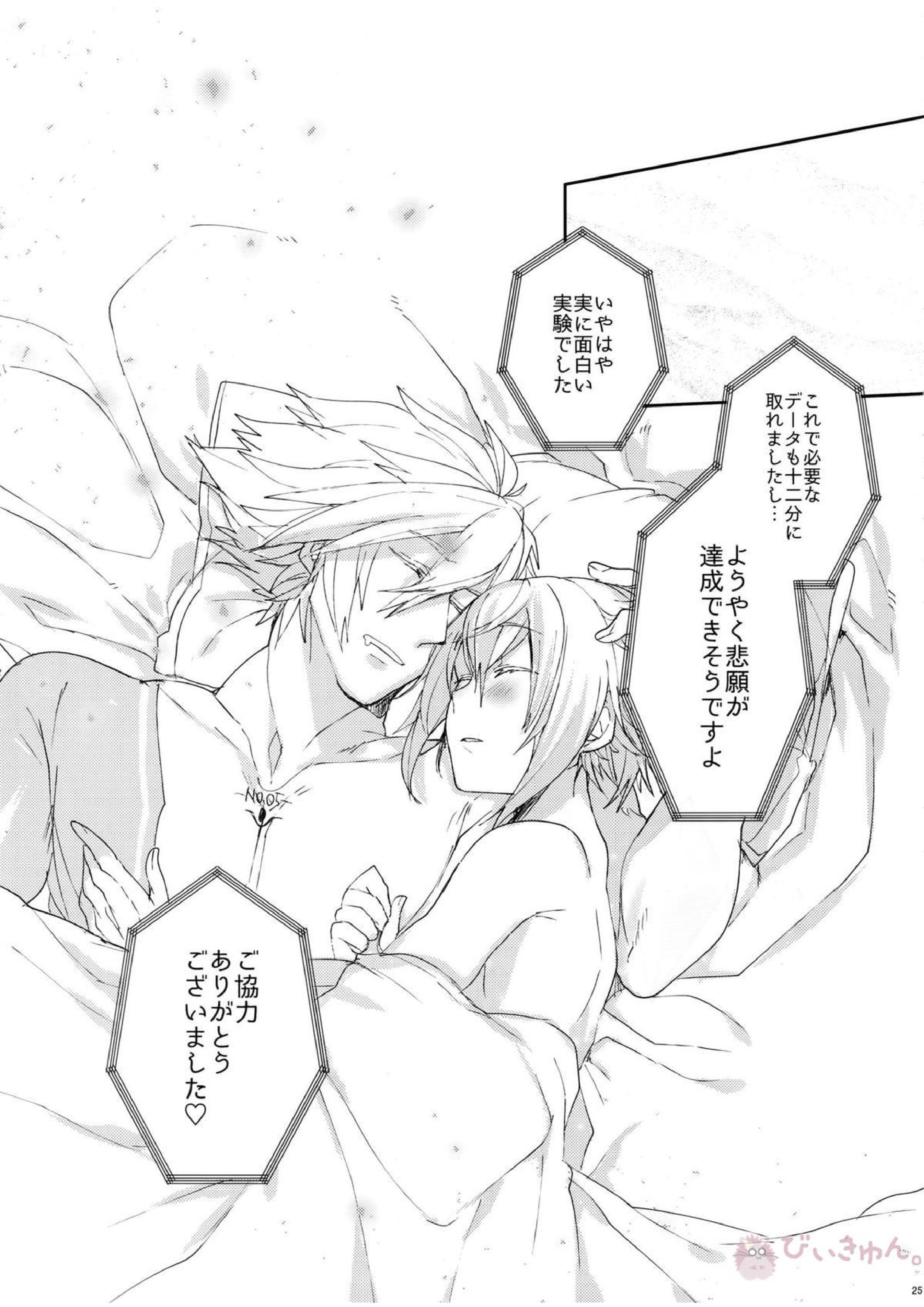 NORMAL OPERATION 26ページ
