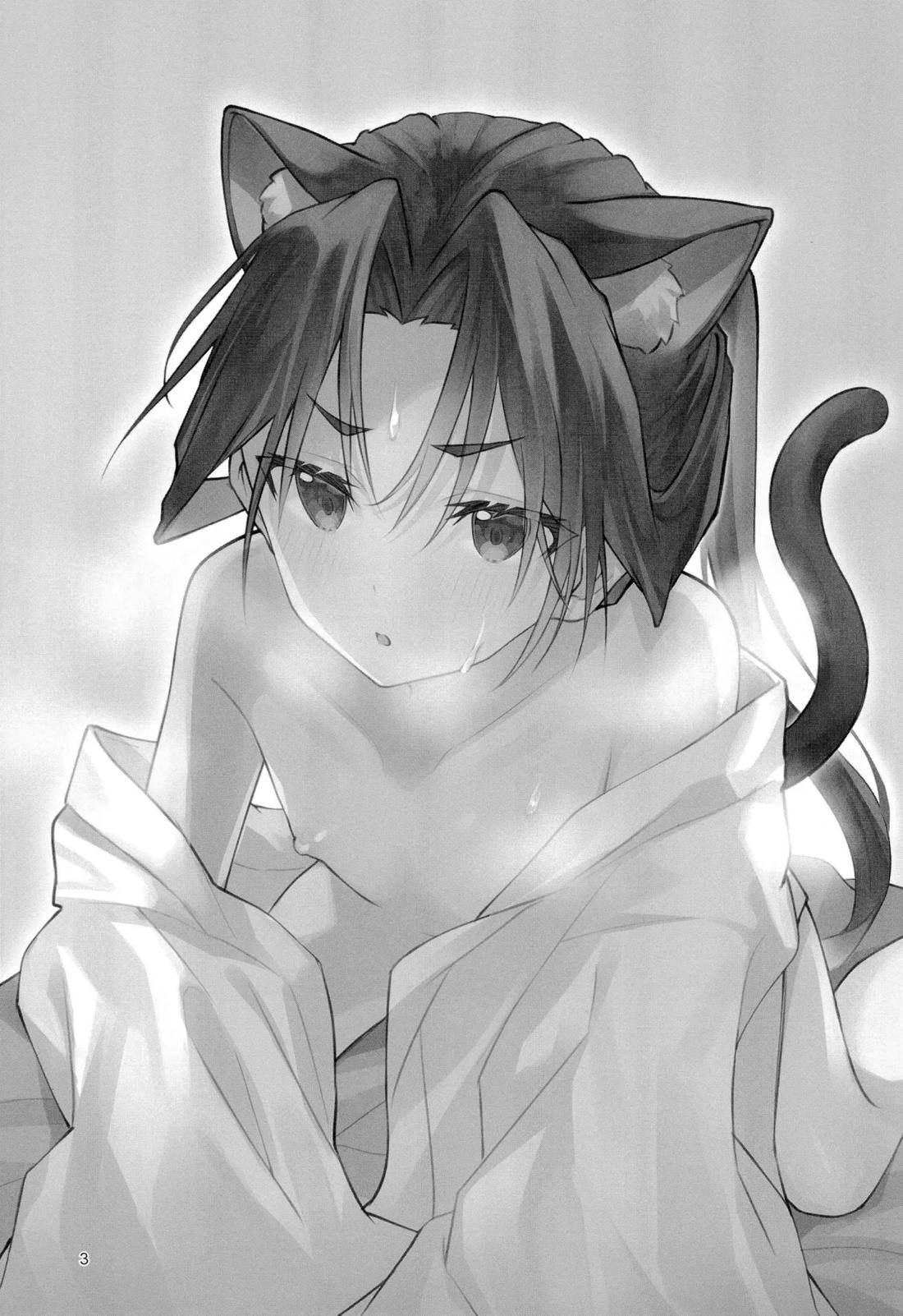 猫の秘めごと 2ページ