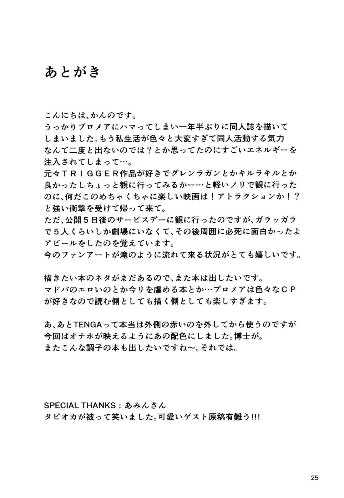 ワープホールが完成しました。 24ページ