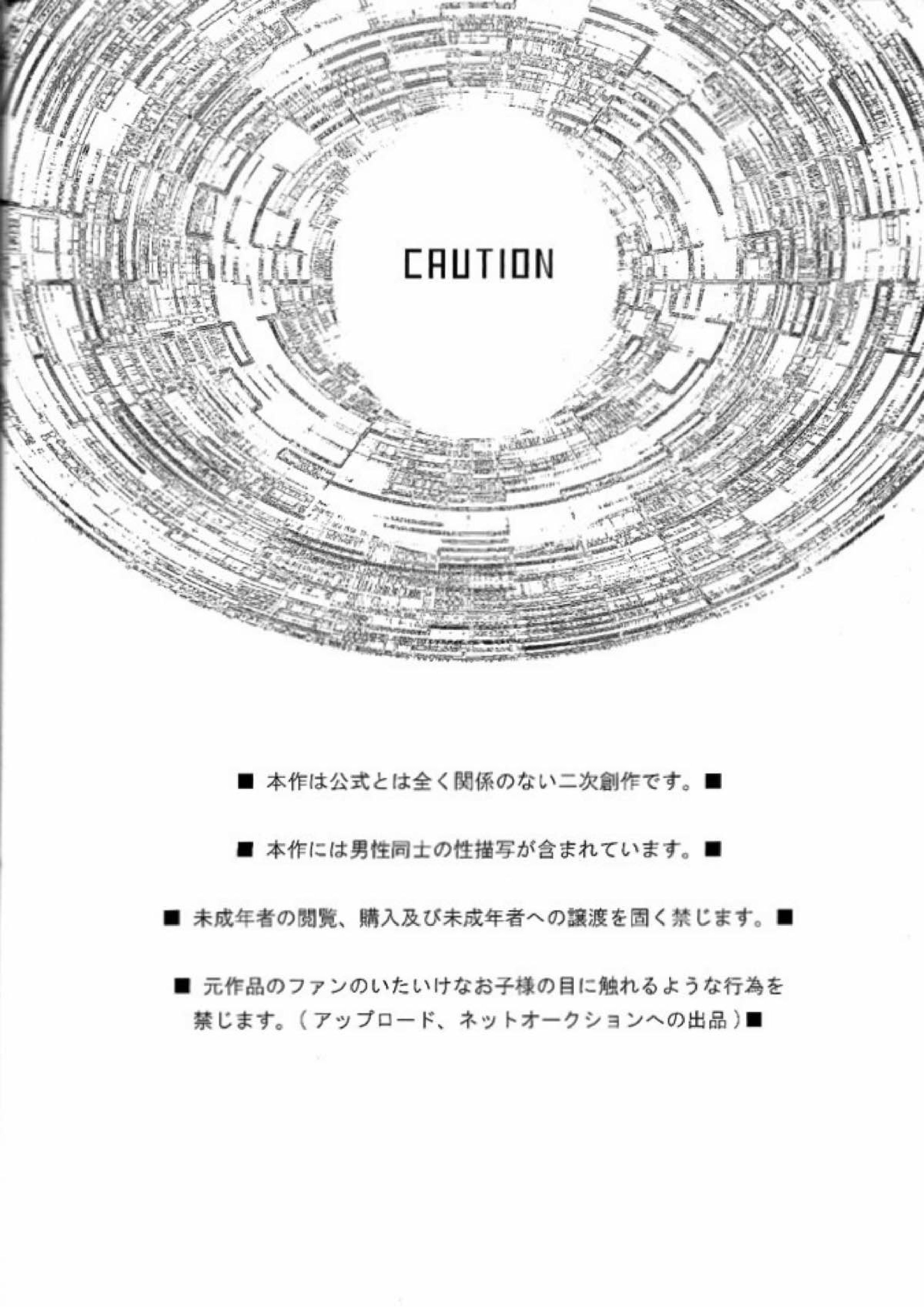 DID 2ページ